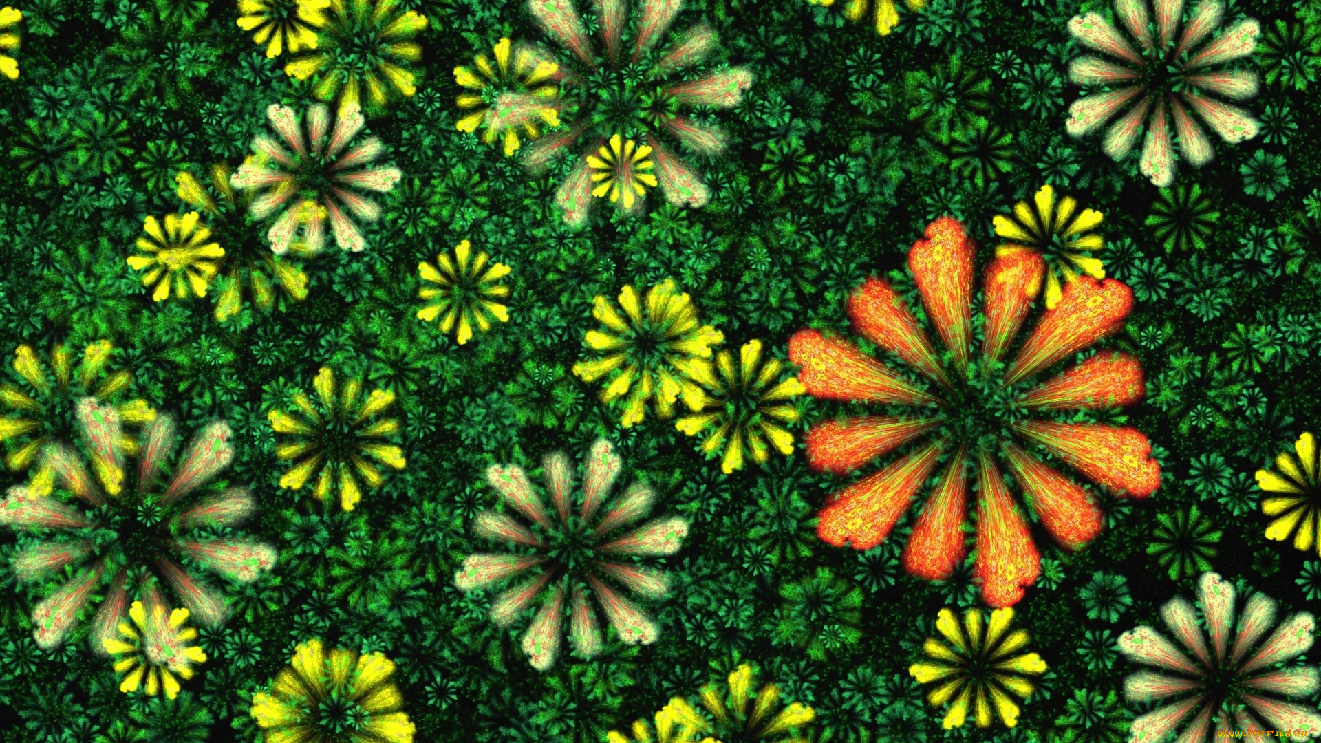 3д, графика, цветы, , flowers, цветы, графика, фрактал, абстракция