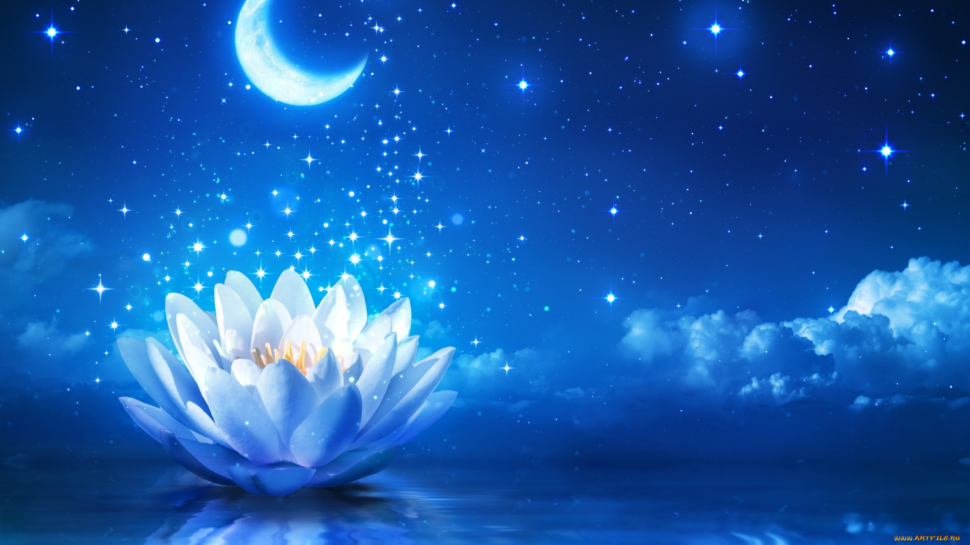 разное, компьютерный, дизайн, bloom, сияние, цветок, лотос, sparkle, water, flower, lily, вода