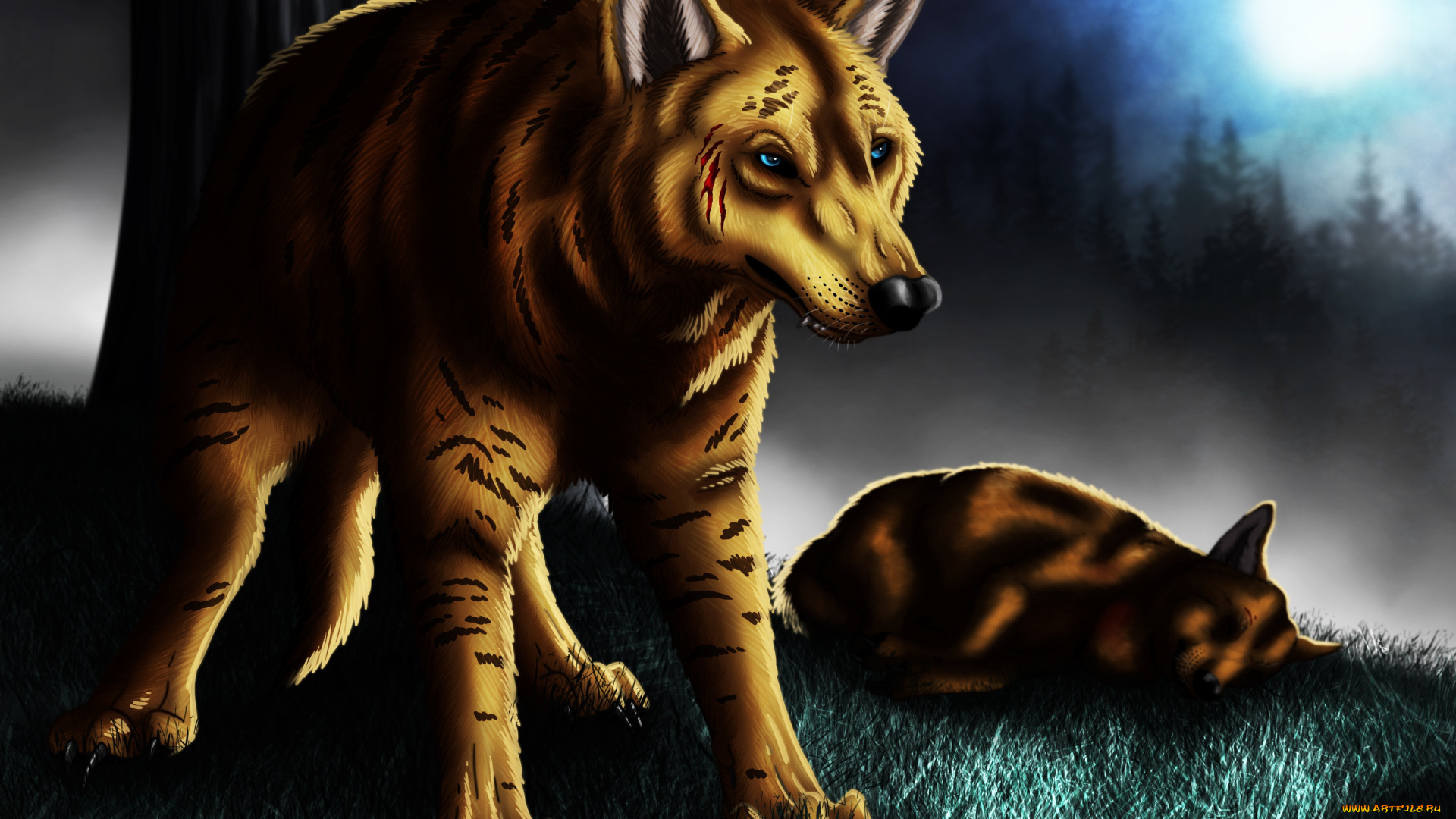 рисованное, животные, , собаки, собака, взгляд