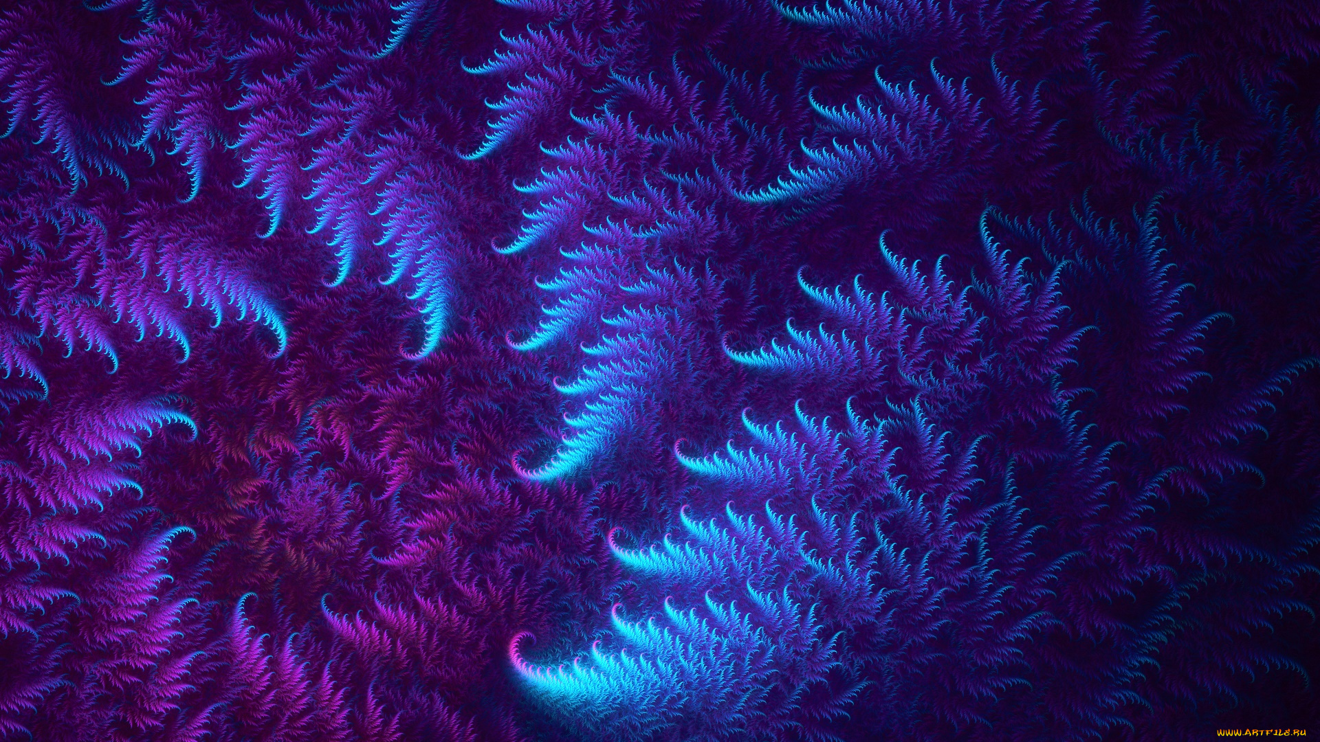 3д, графика, фракталы, , fractal, узор, фон, цвета