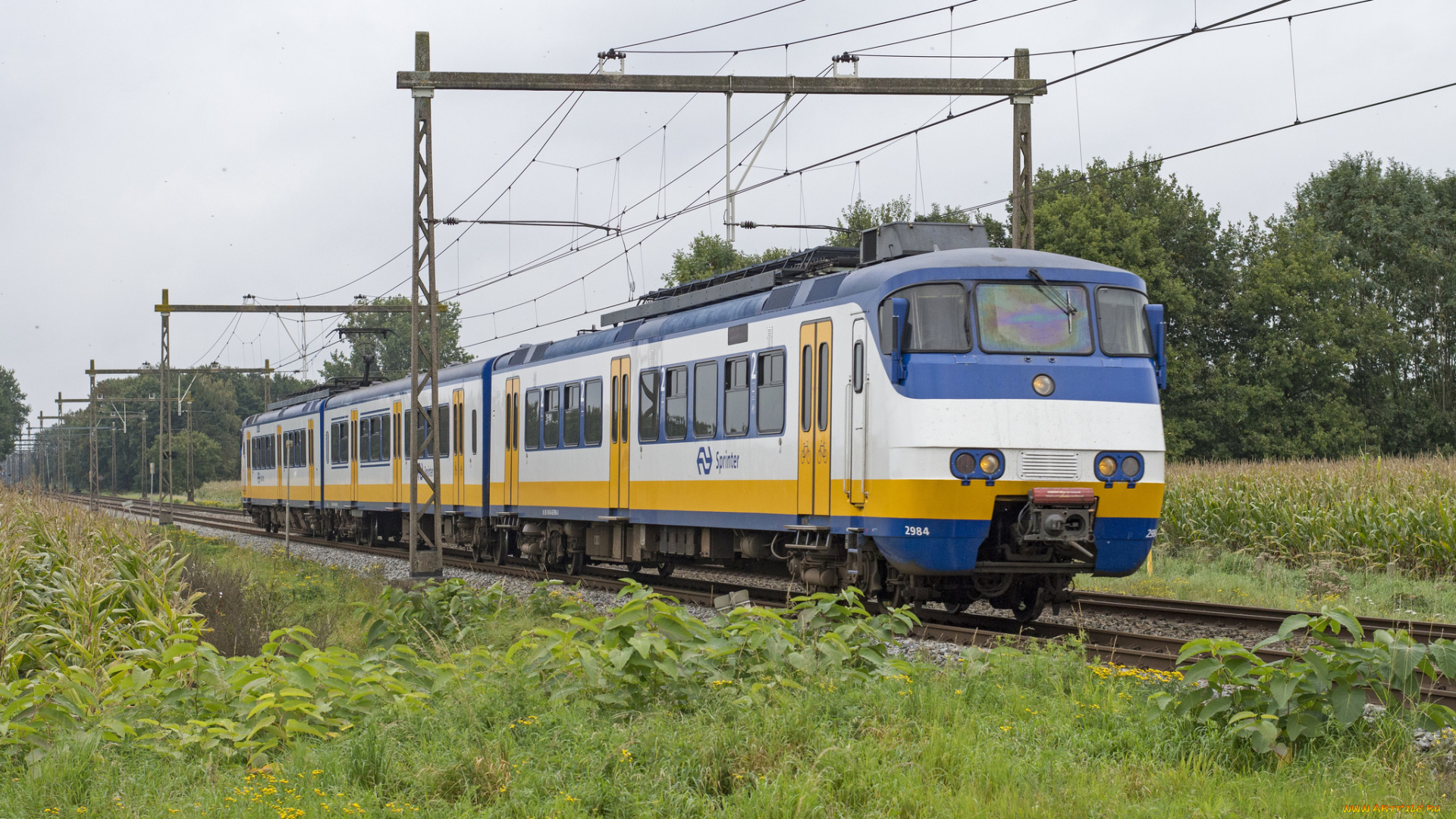 техника, поезда, состав, локомотив, рельсы