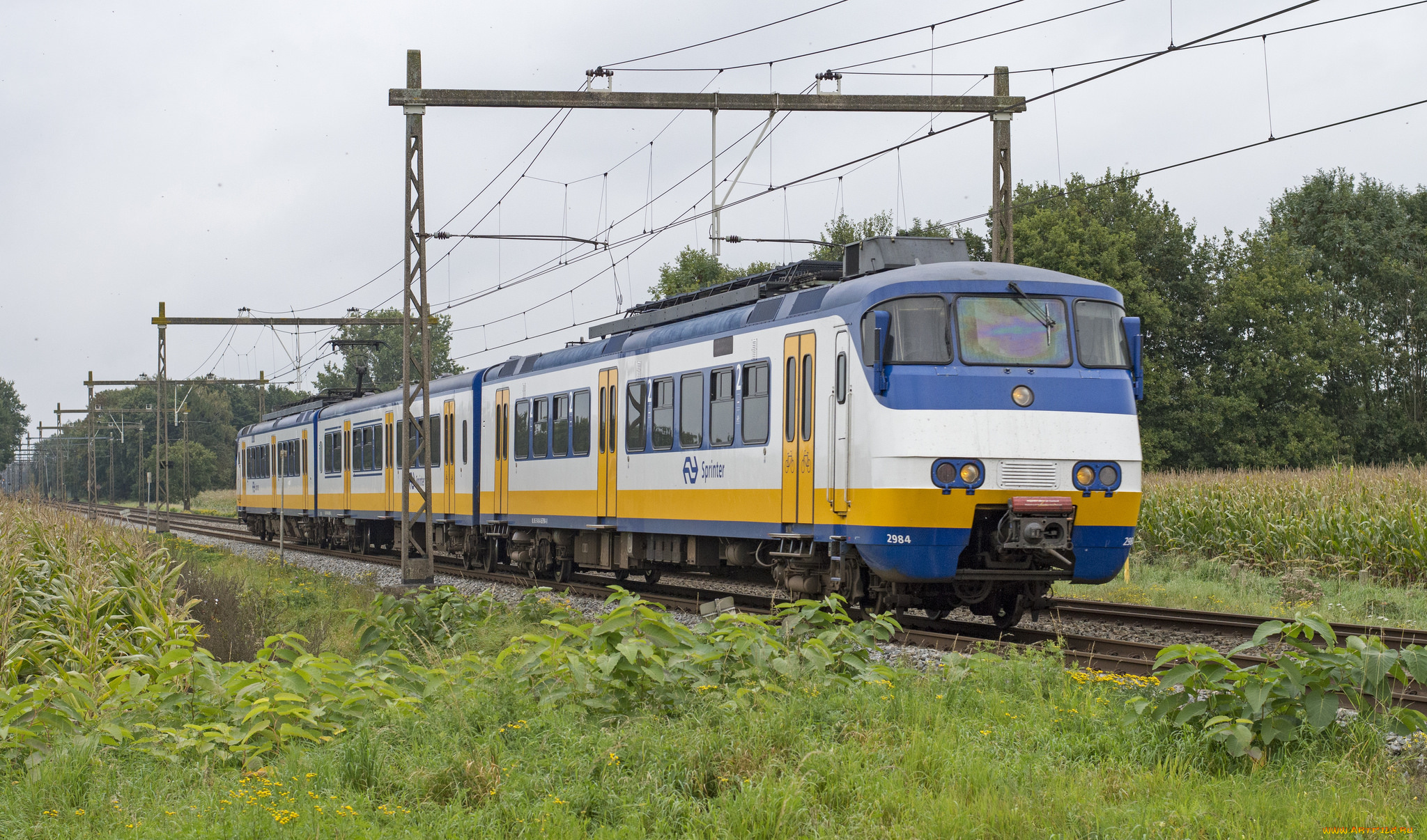 техника, поезда, состав, локомотив, рельсы