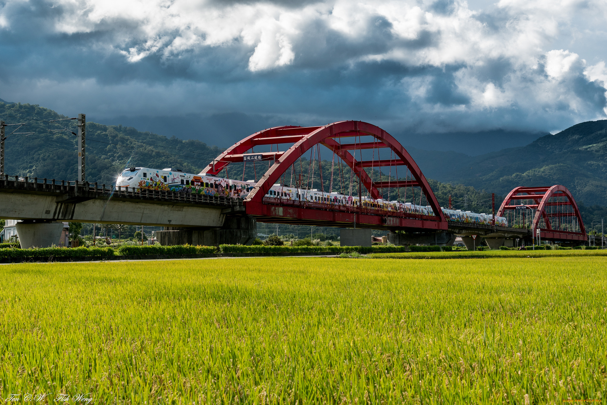 техника, поезда, локомотив, рельсы, состав