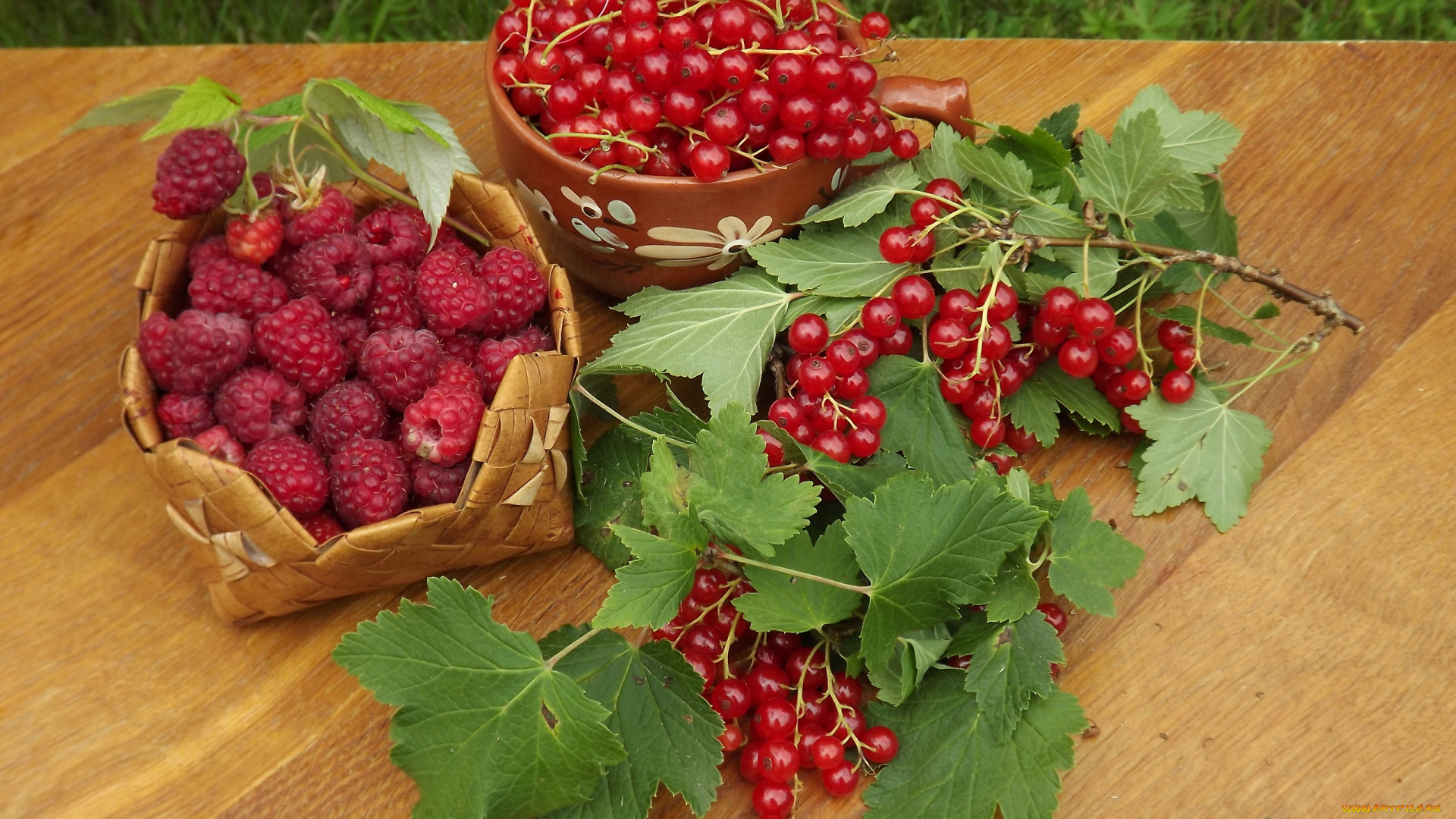 еда, фрукты, , ягоды, август, угощение, стол, натюрморт, малина, красная, смородина, урожай, ягоды