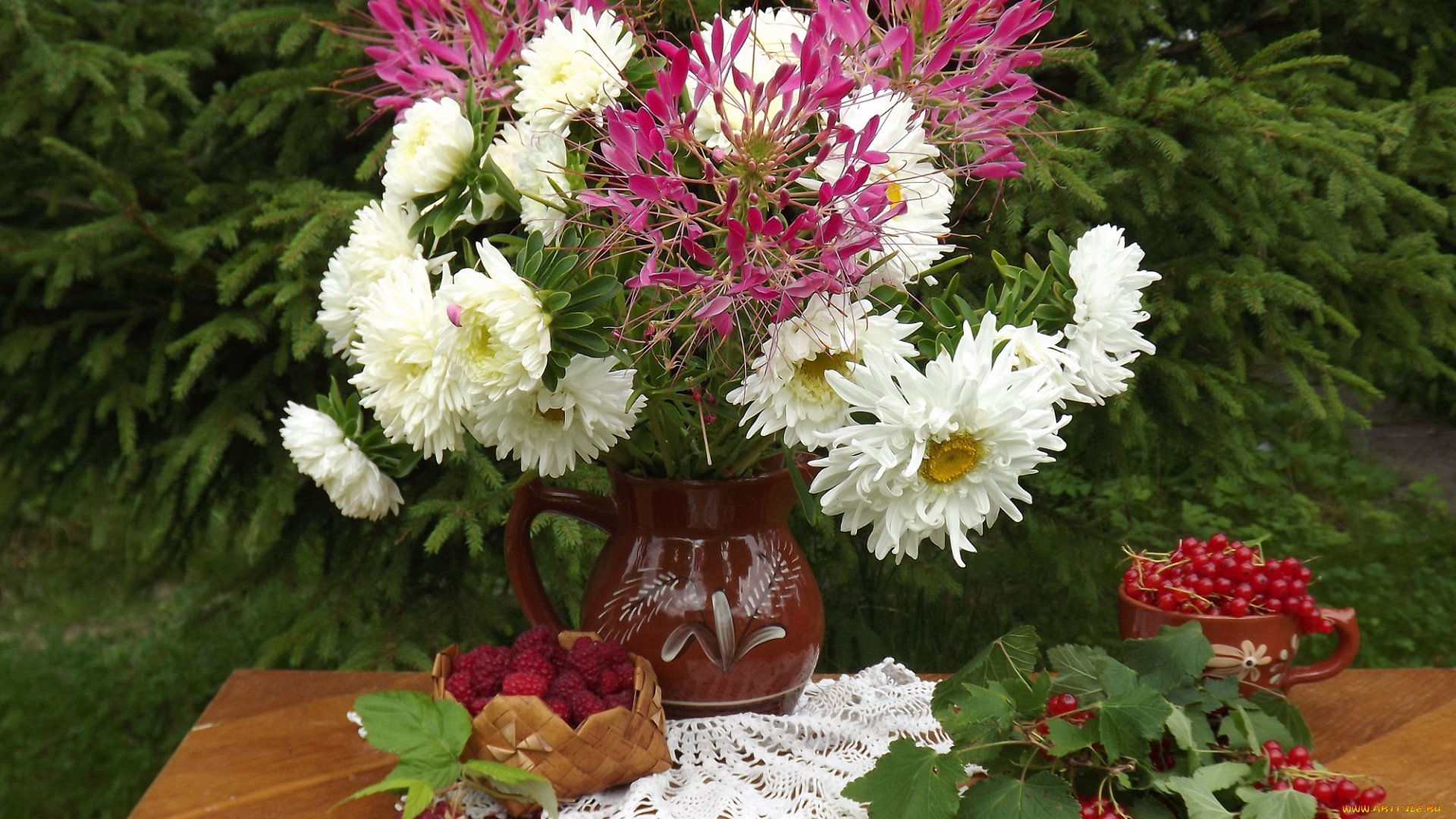 еда, натюрморт, букет, астры, август, августа, ягоды, цветы, смородина, сад, малина, композиция, клеома