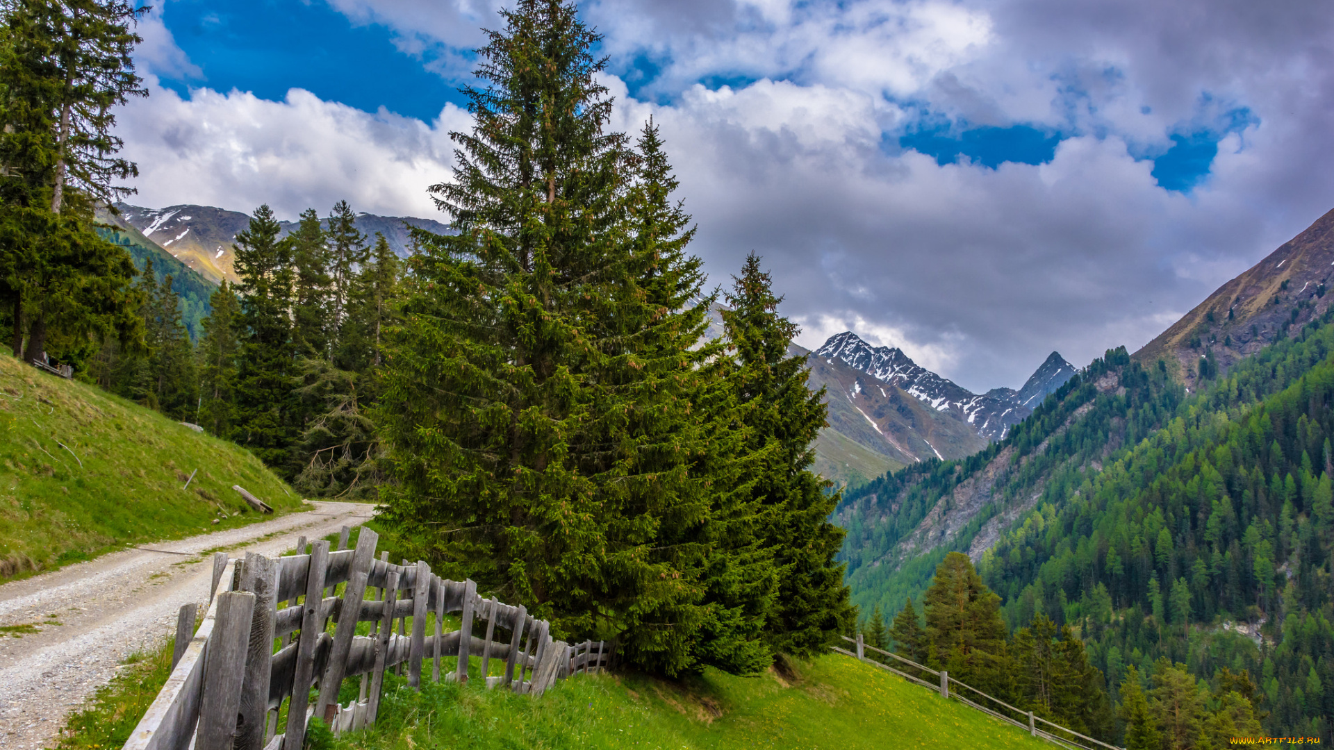 природа, дороги, простор