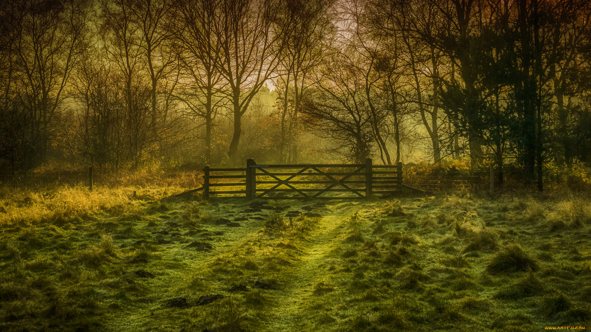 природа, дороги, простор