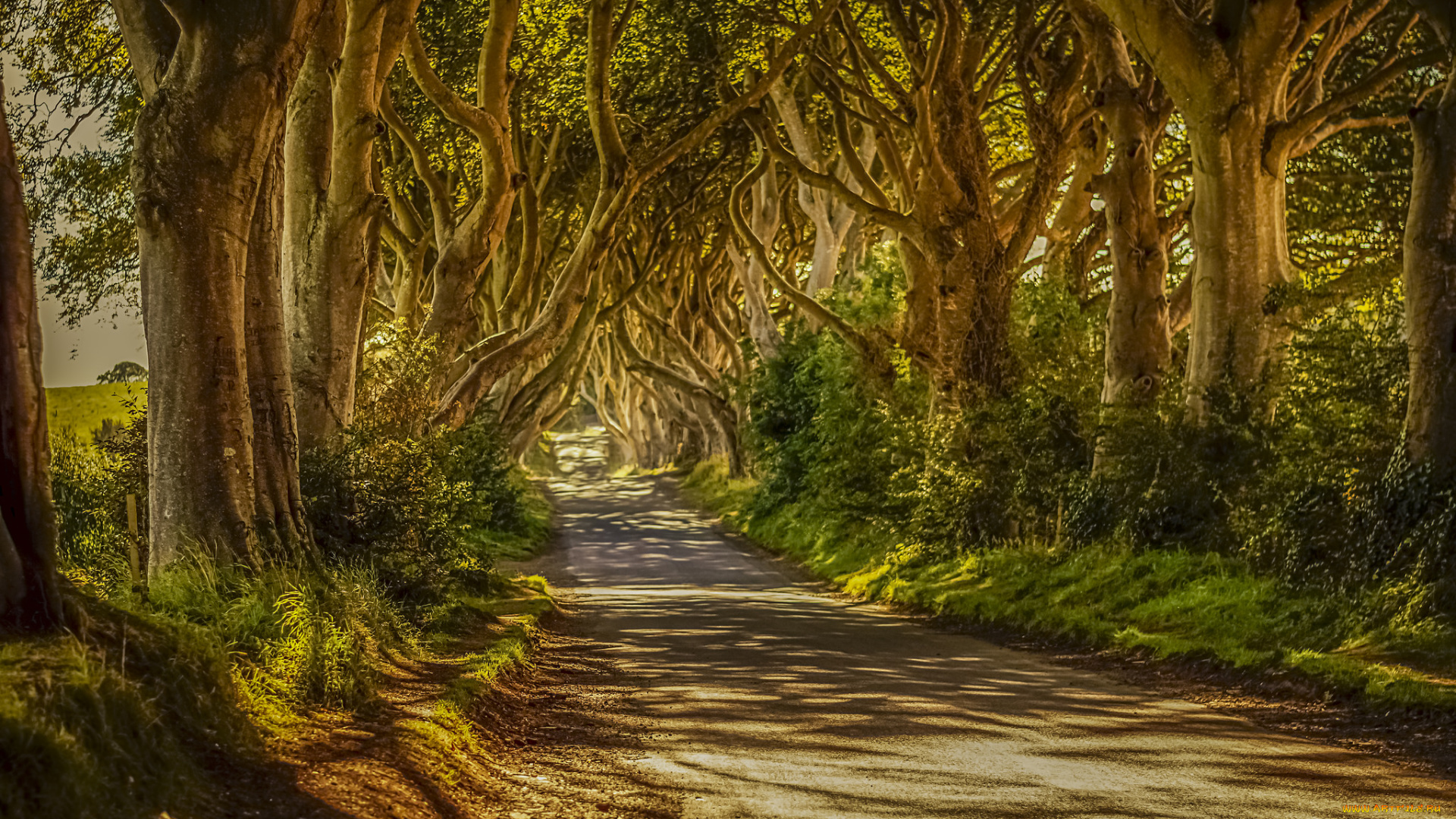 природа, дороги, простор