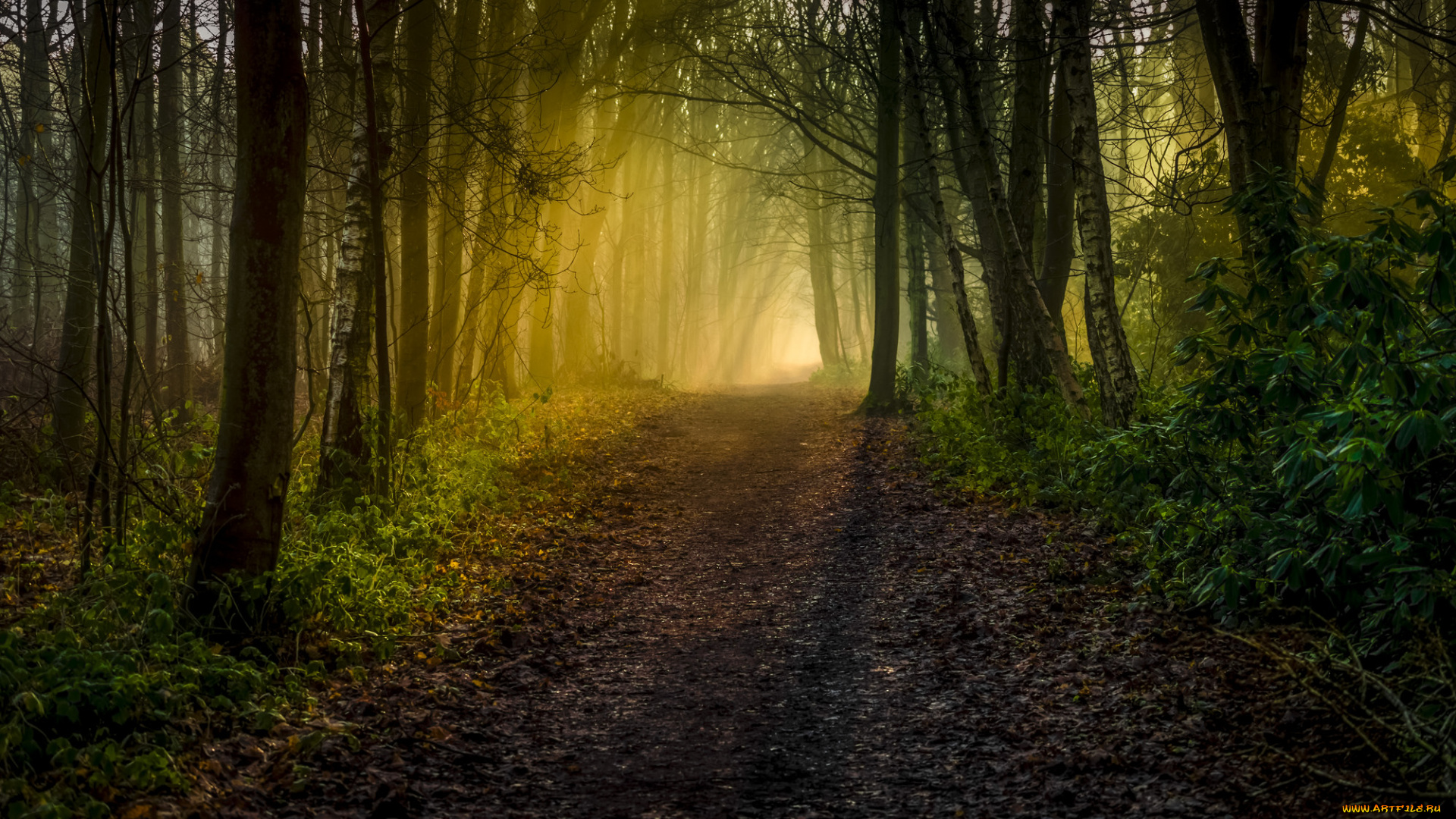 природа, дороги, простор