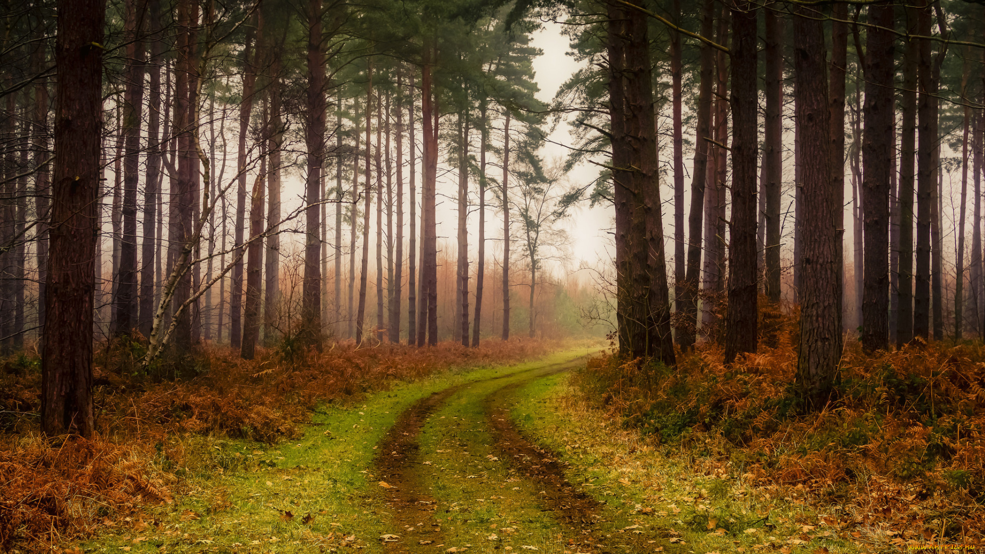 природа, дороги, простор