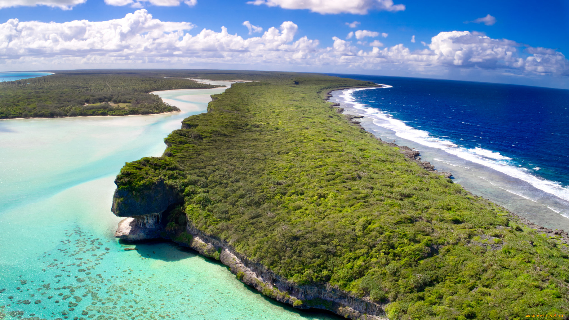 природа, моря, океаны, море, пляж, деревья, вода, побережье