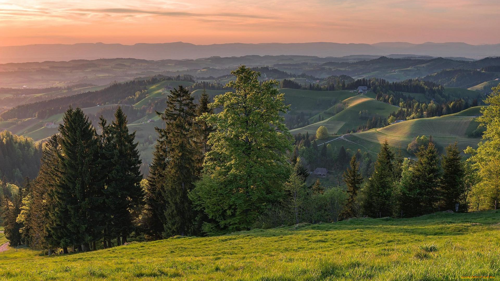 природа, пейзажи, пейзаж, деревья, холмы, закат, швейцария