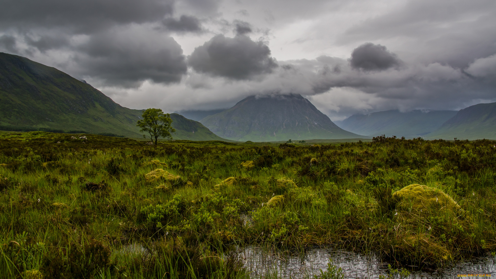 природа, пейзажи, простор