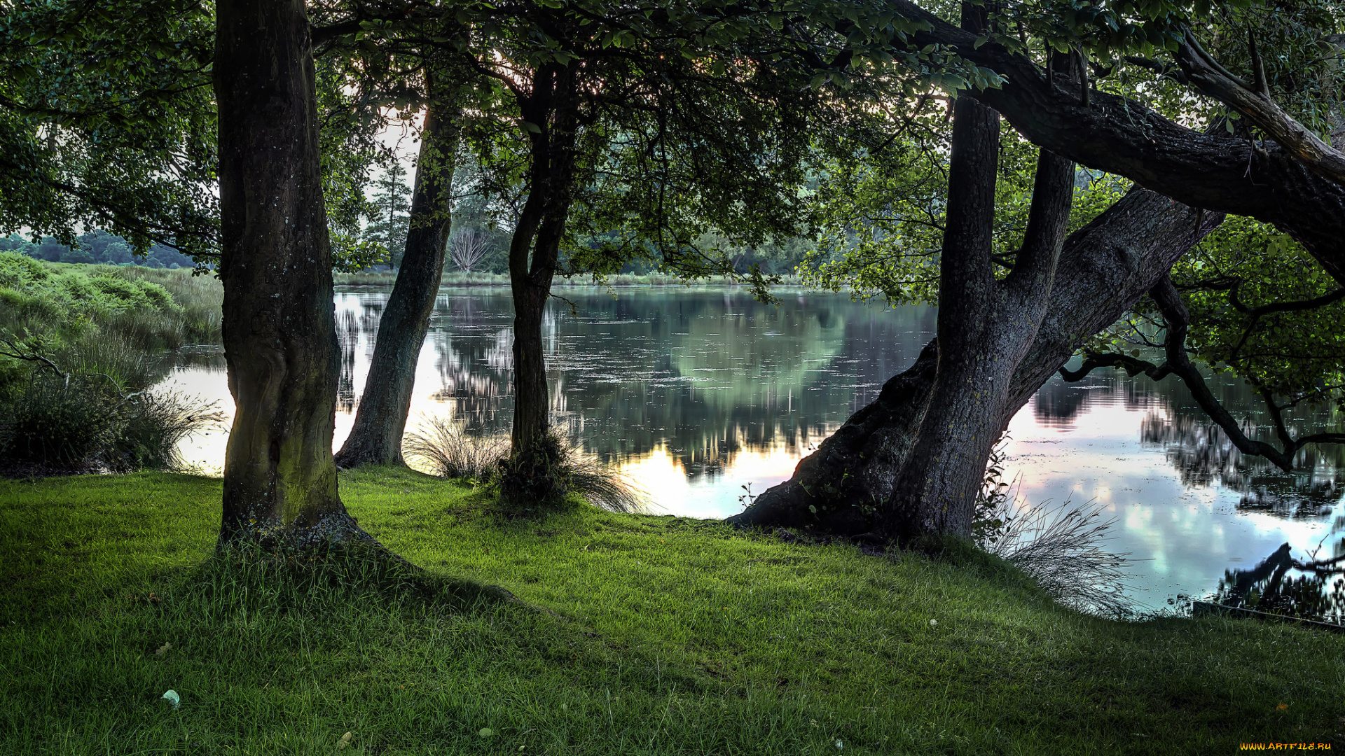 природа, реки, озера, простор