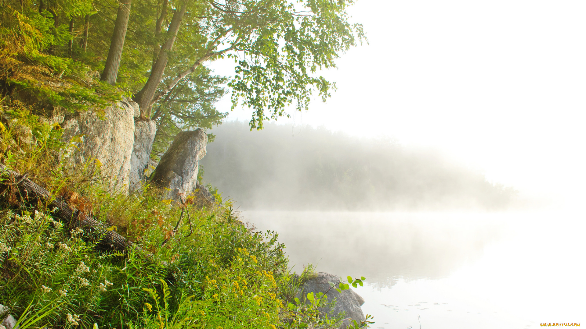 природа, реки, озера, простор