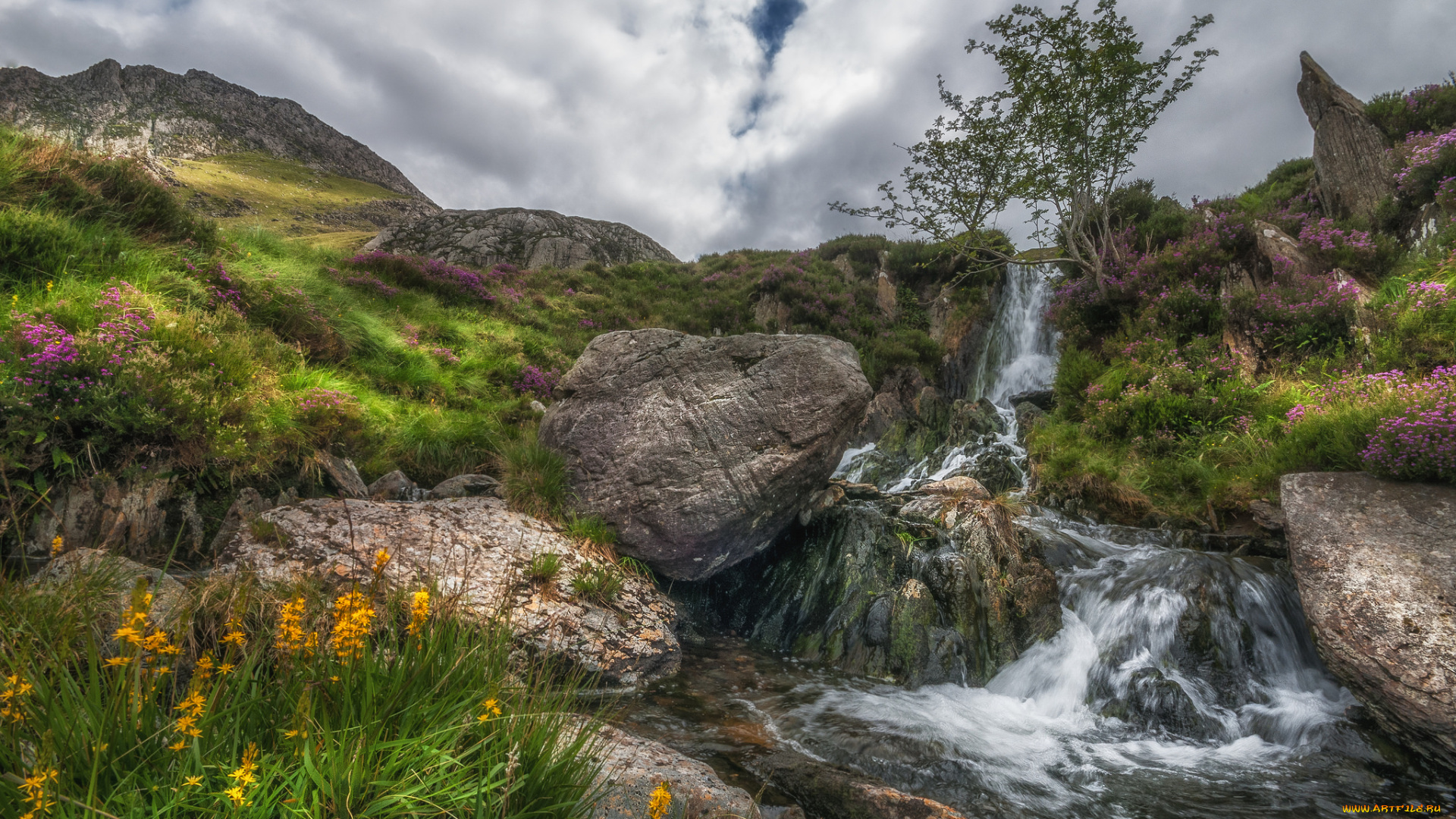 природа, реки, озера, простор