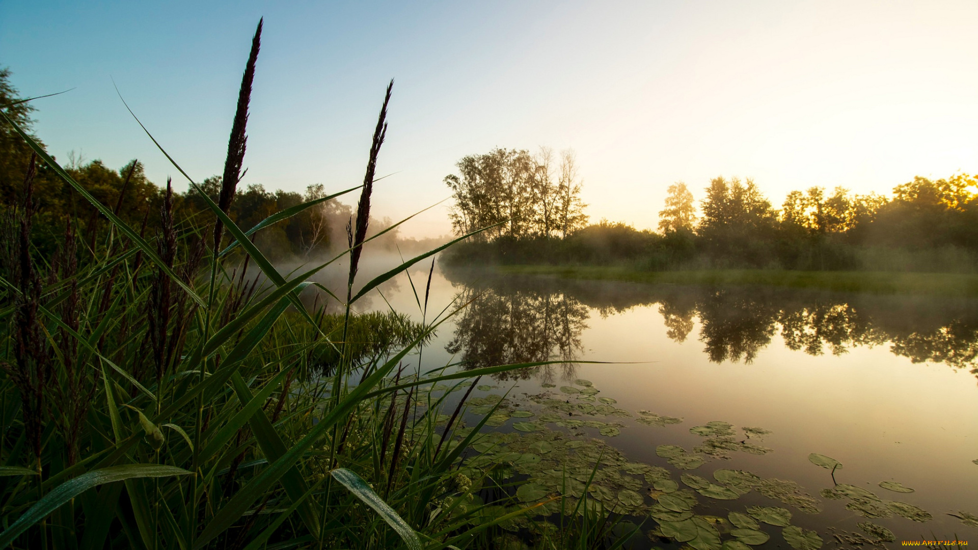 природа, реки, озера, простор