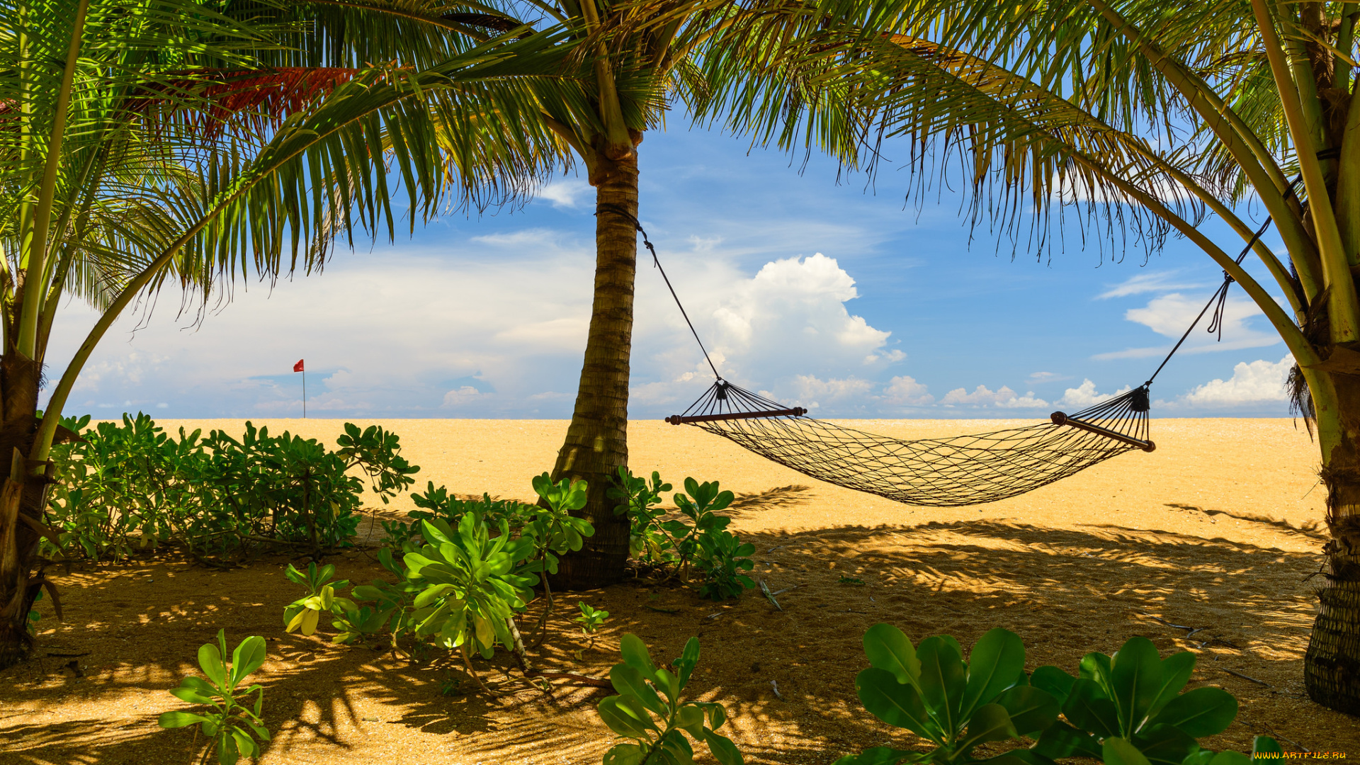 природа, тропики, простор