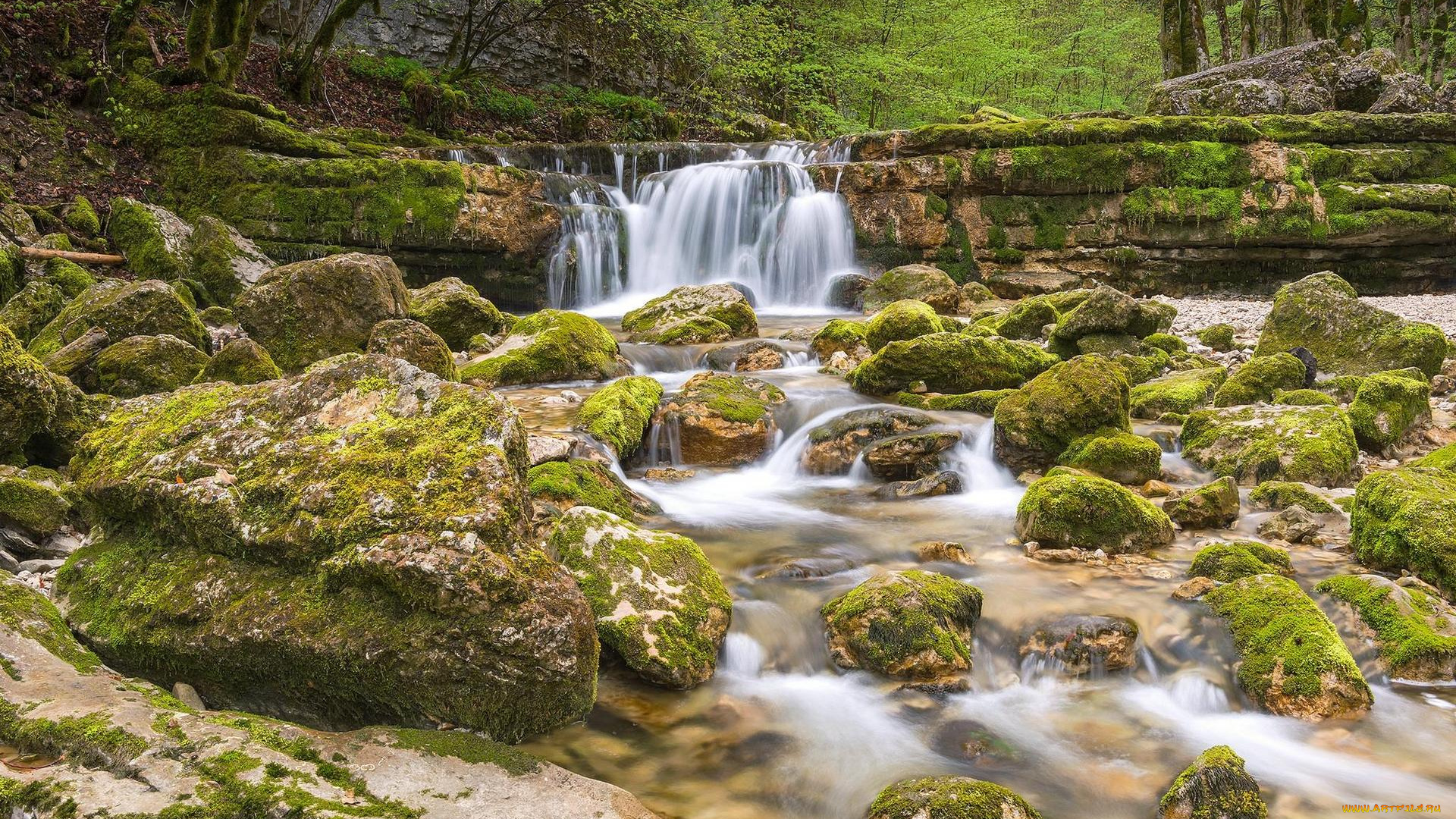 природа, водопады, скалы, водопад, лес, деревья
