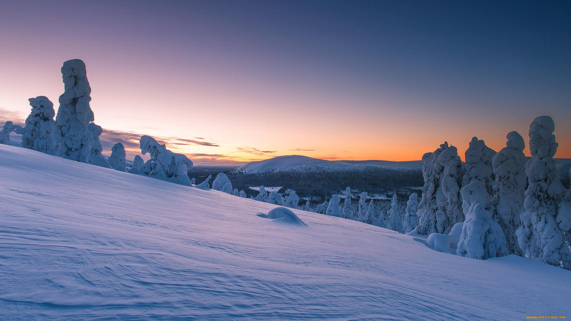 природа, зима, сугробы, деревья, снег, лапландия