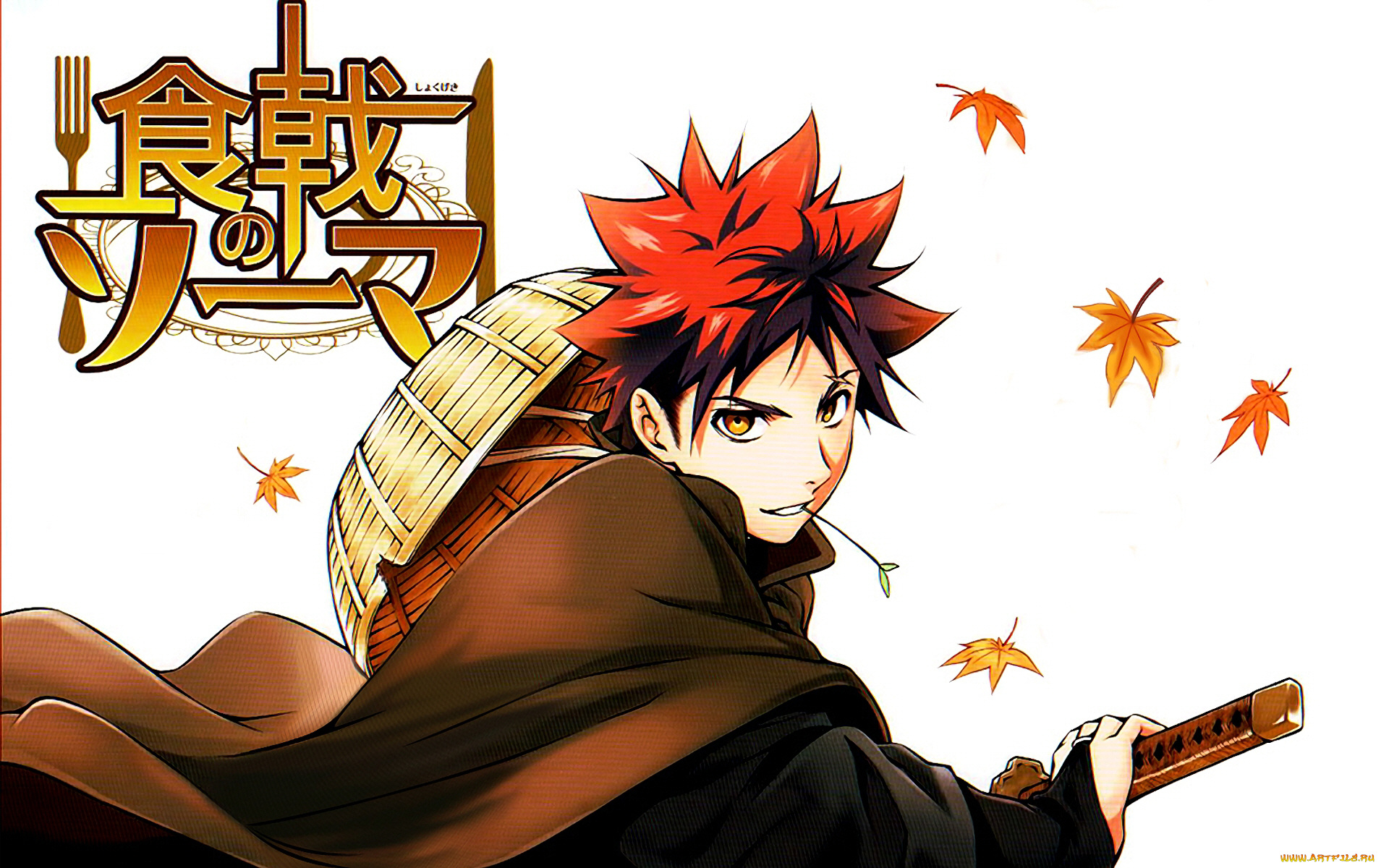 аниме, shokugeki, no, soma, парень, сома