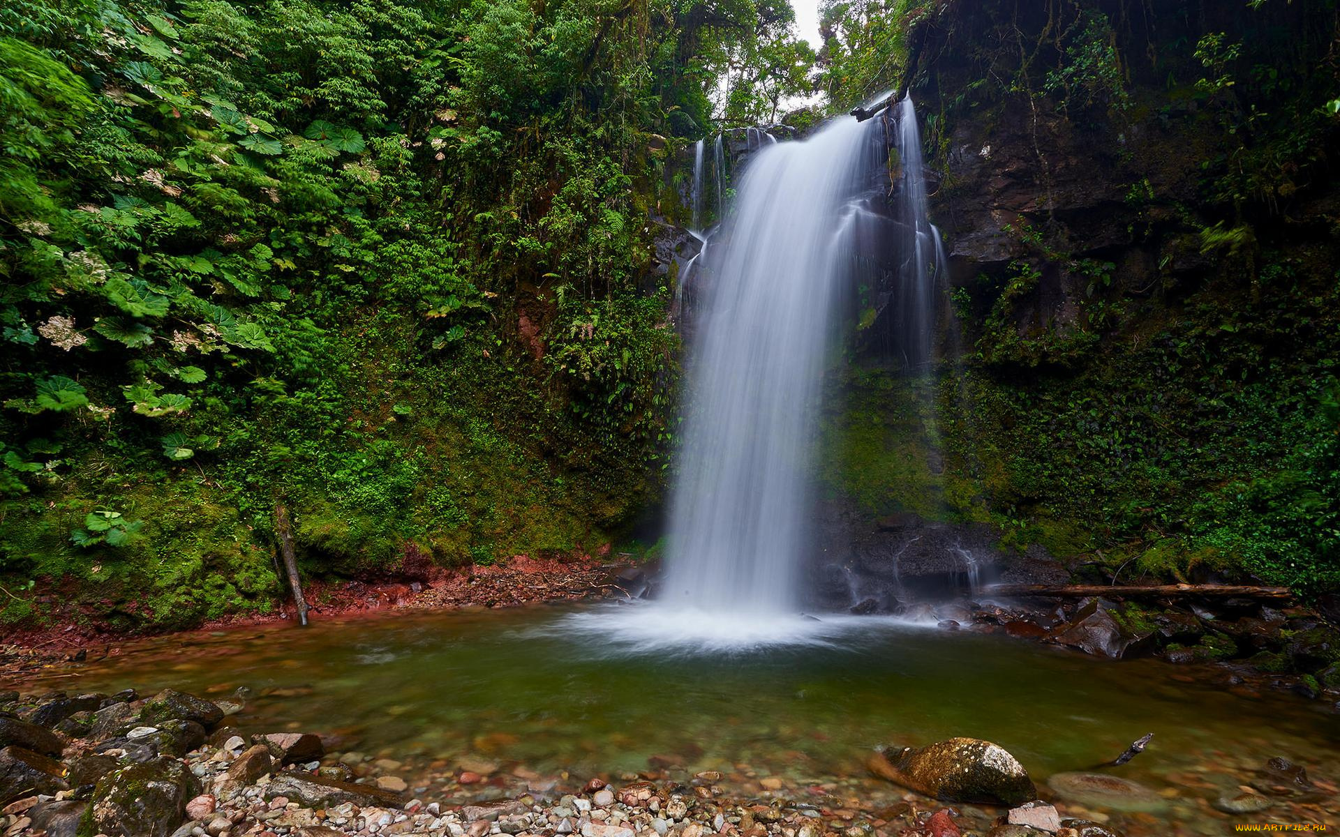 природа, водопады, скалы, деревья, водопад, лес