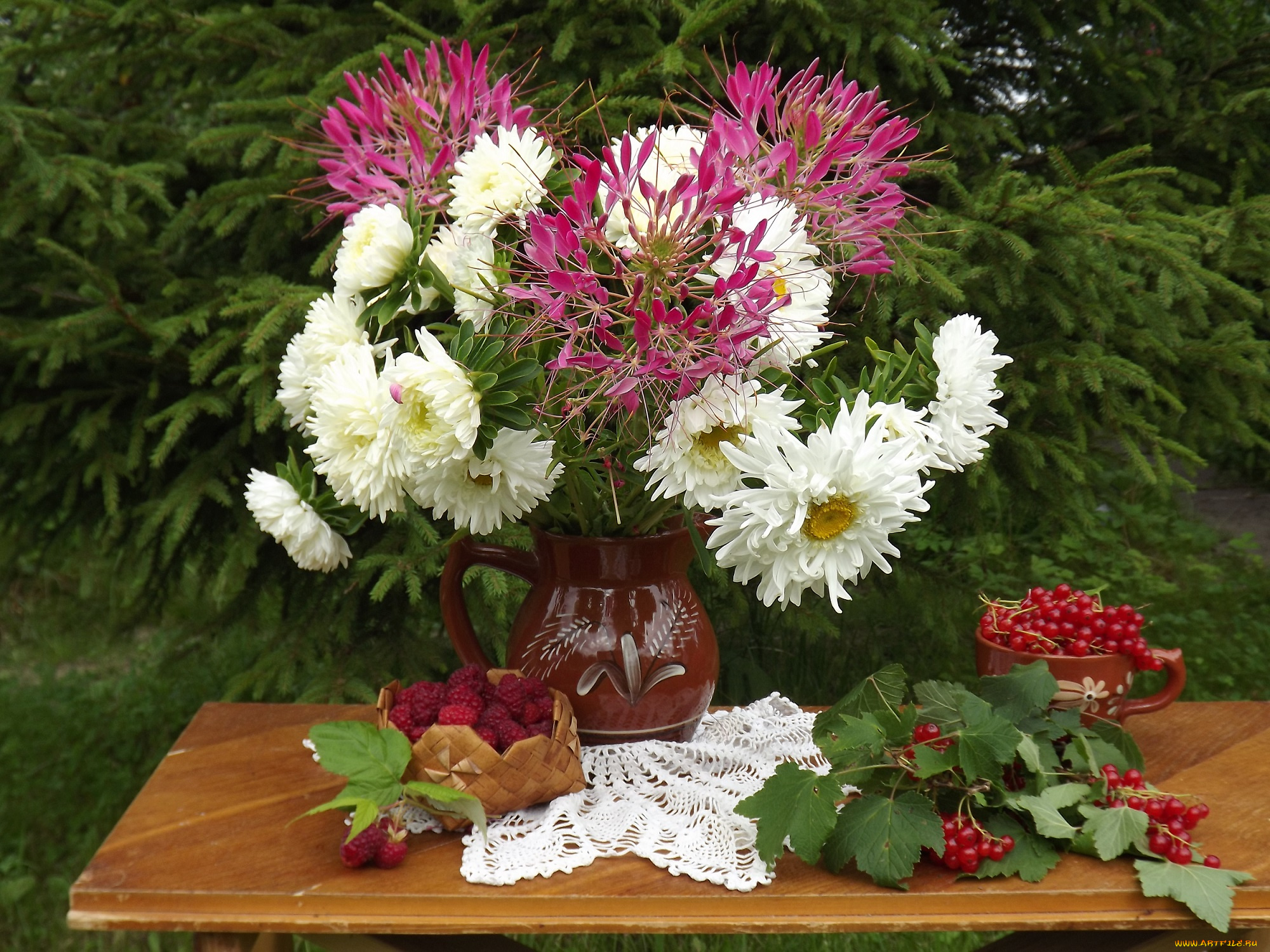 еда, натюрморт, букет, астры, август, августа, ягоды, цветы, смородина, сад, малина, композиция, клеома