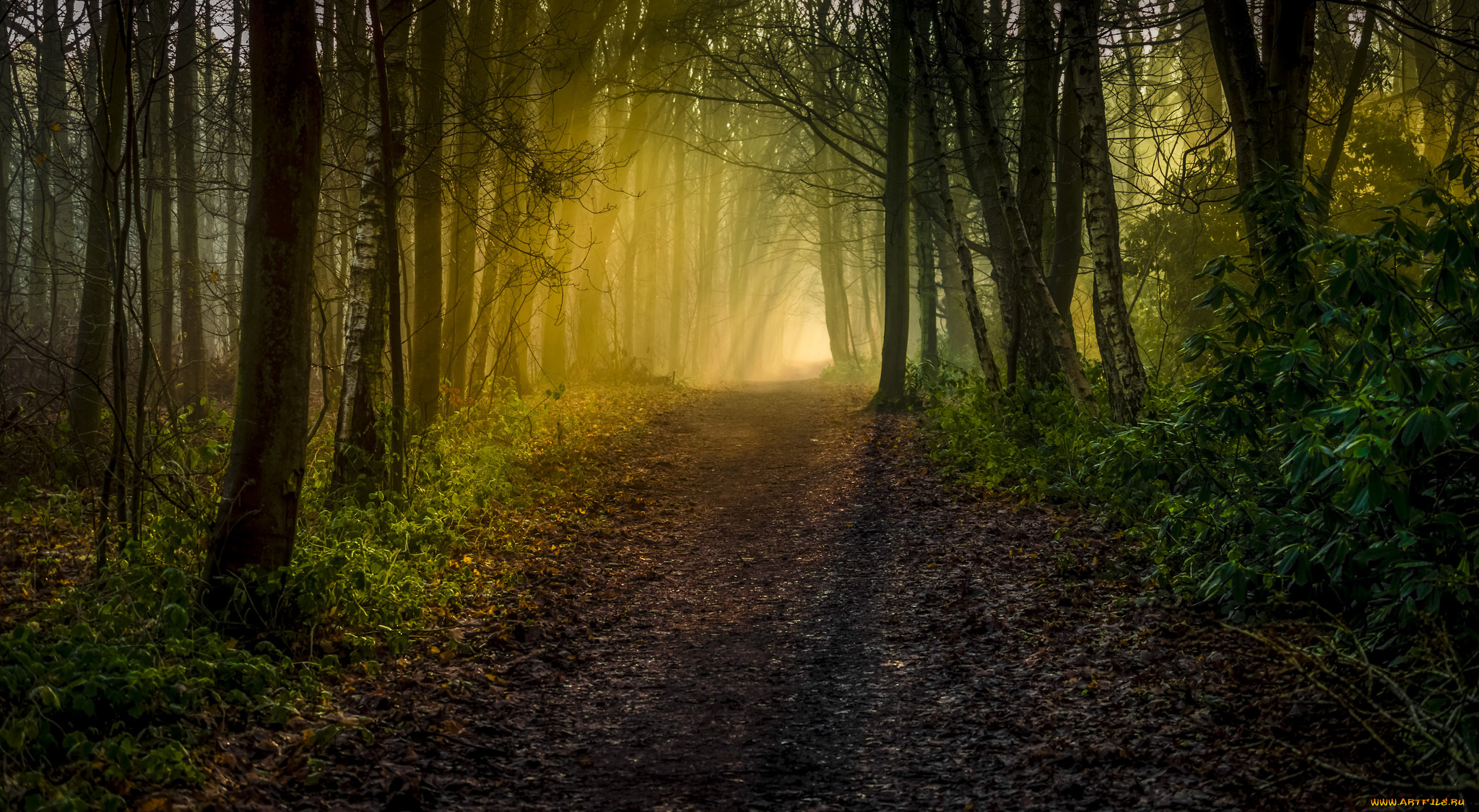 природа, дороги, простор