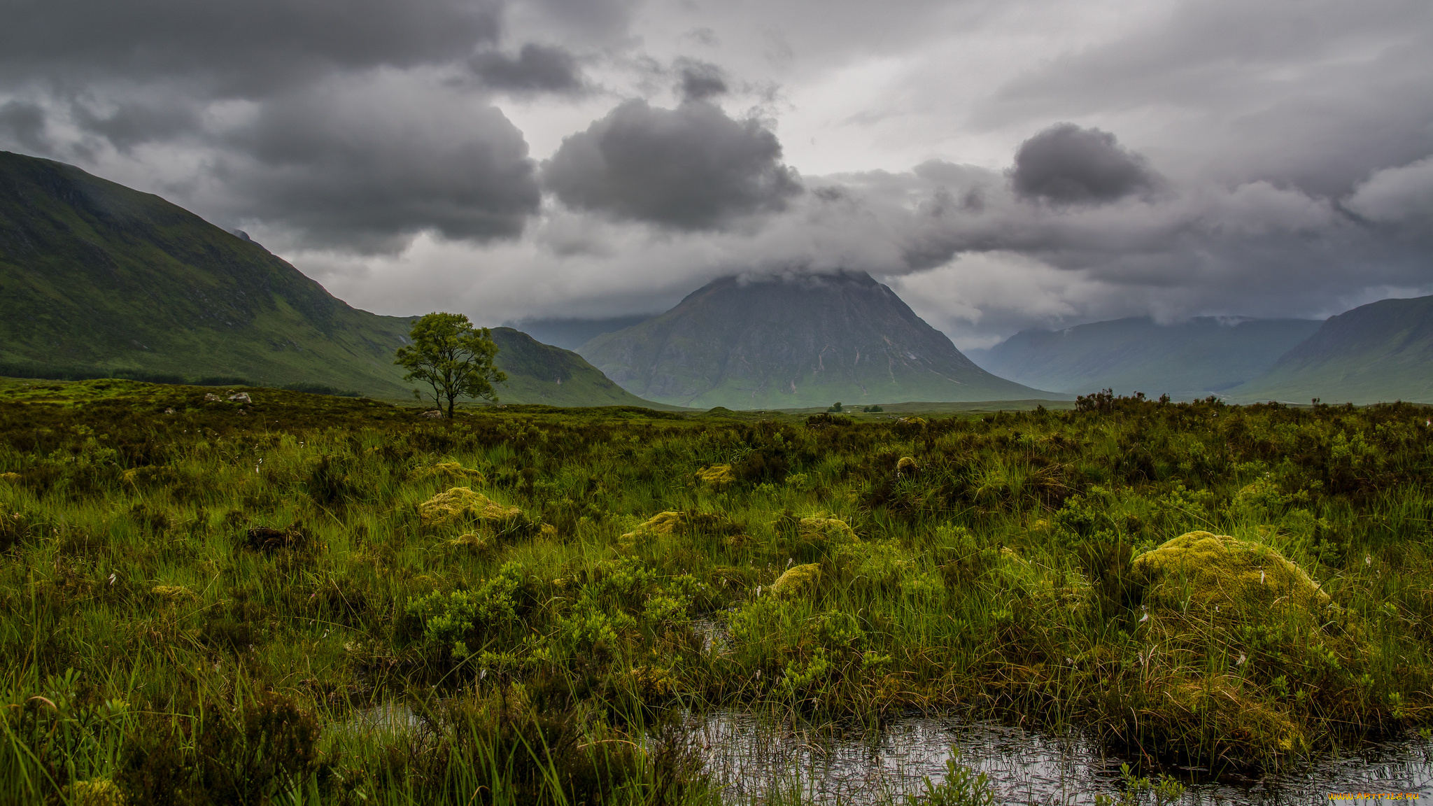 природа, пейзажи, простор