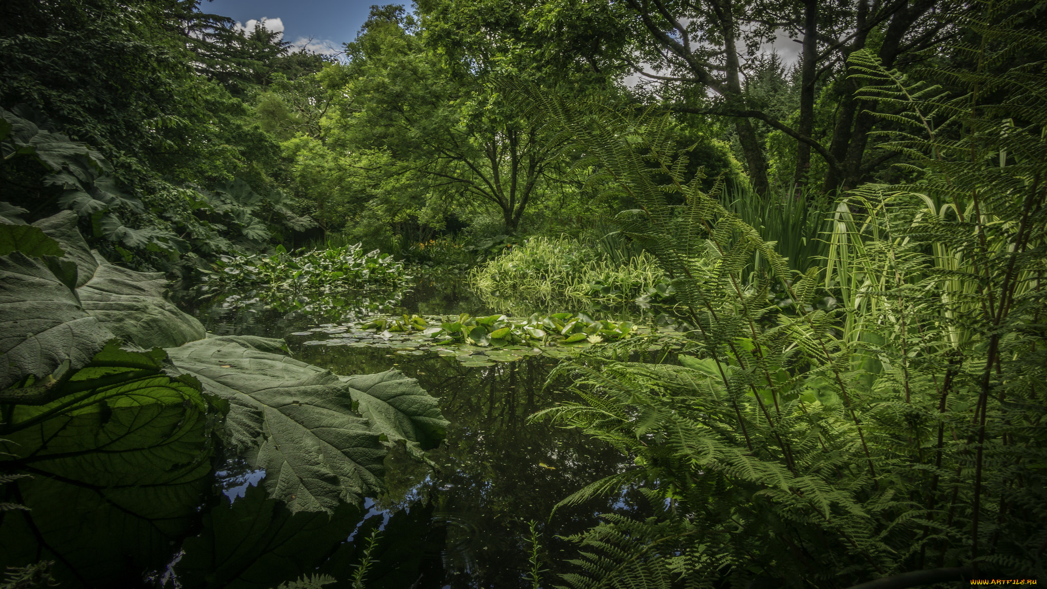 природа, реки, озера, простор