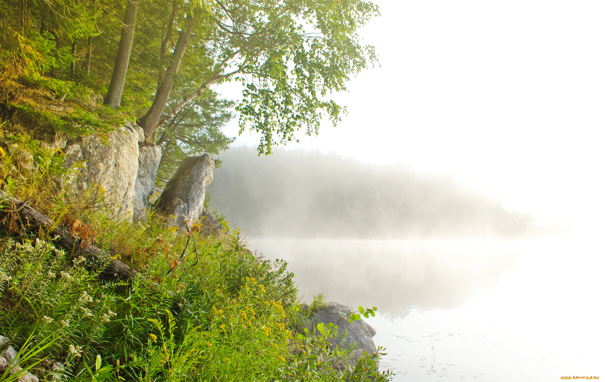 природа, реки, озера, простор