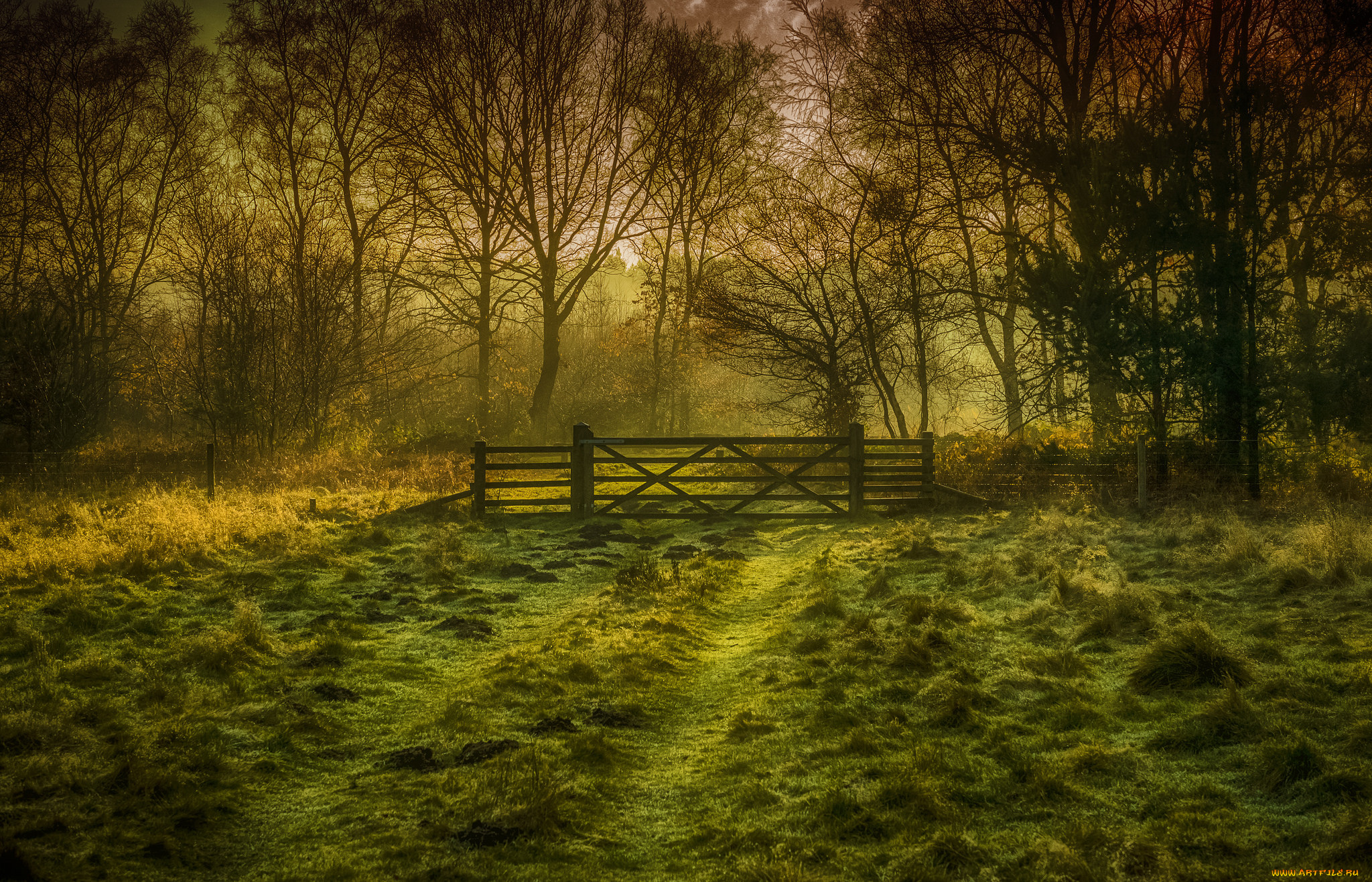 природа, дороги, простор