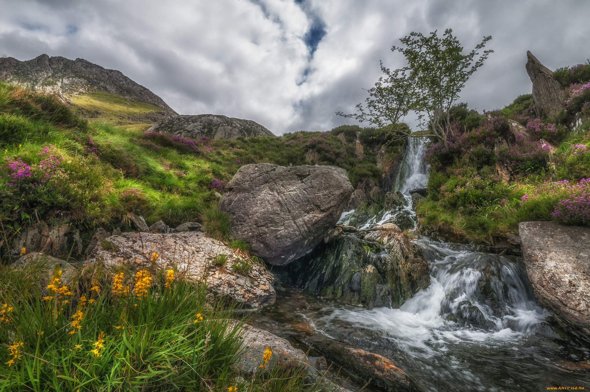 природа, реки, озера, простор