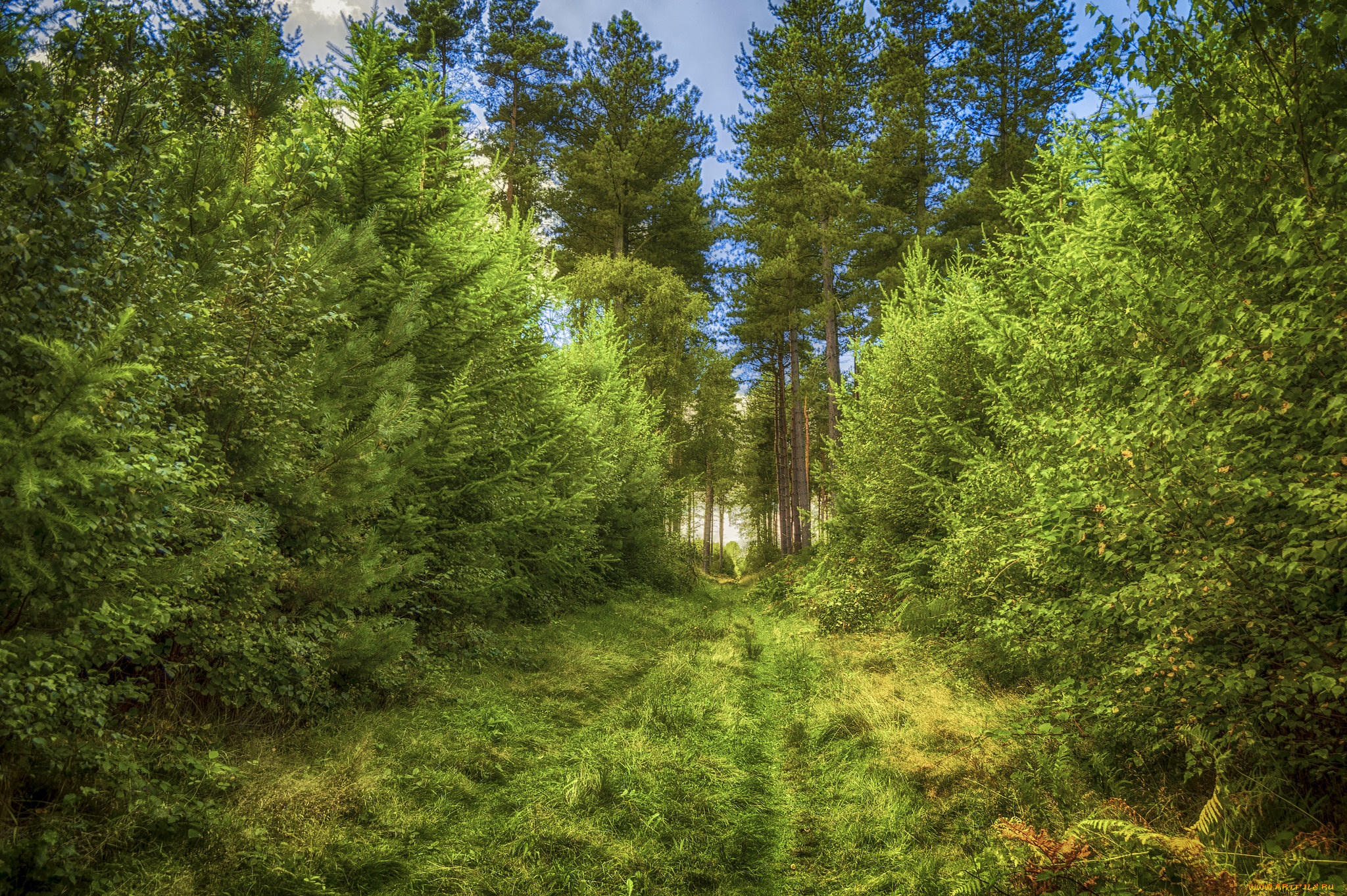 природа, дороги, простор