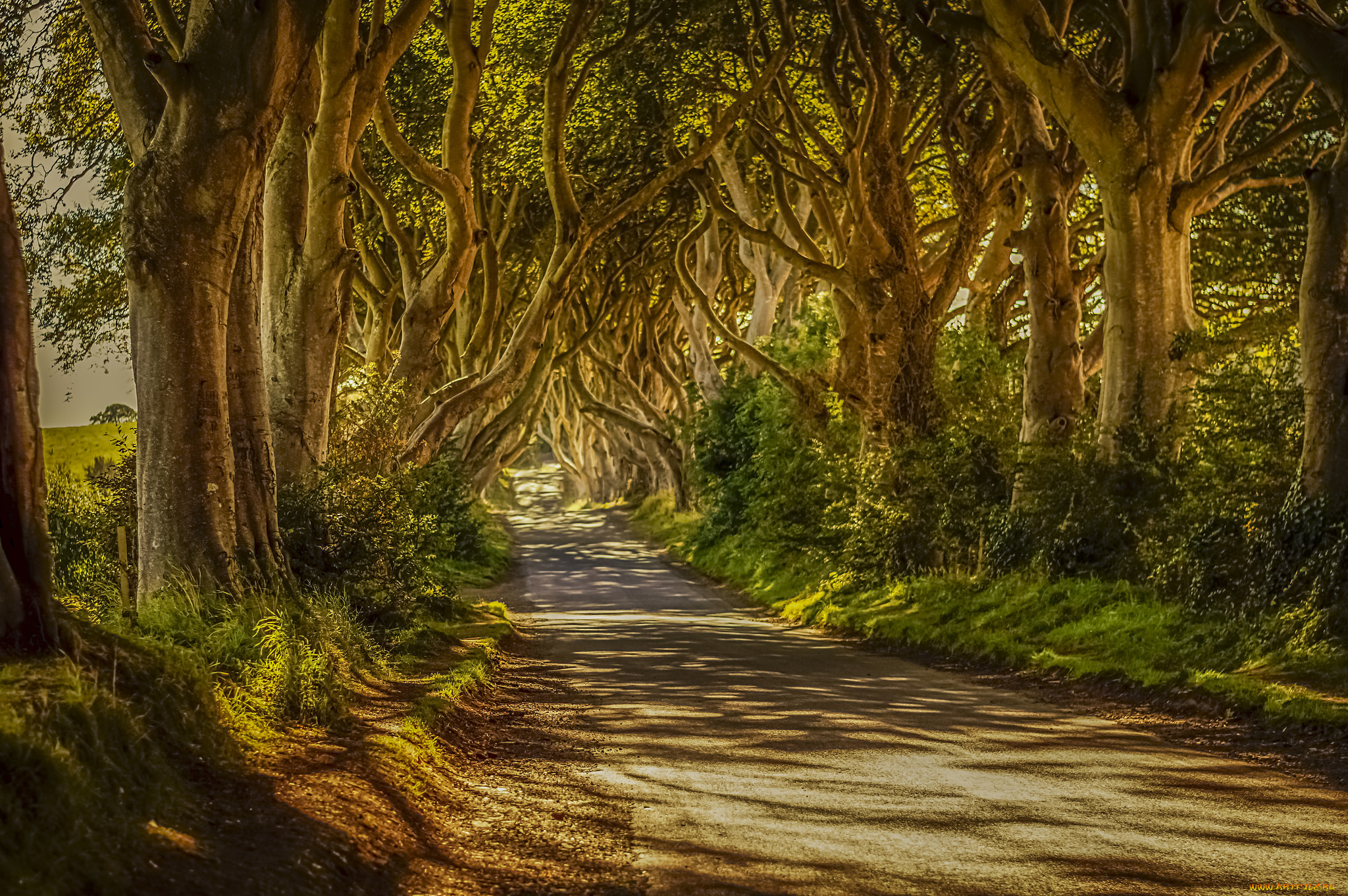 природа, дороги, простор