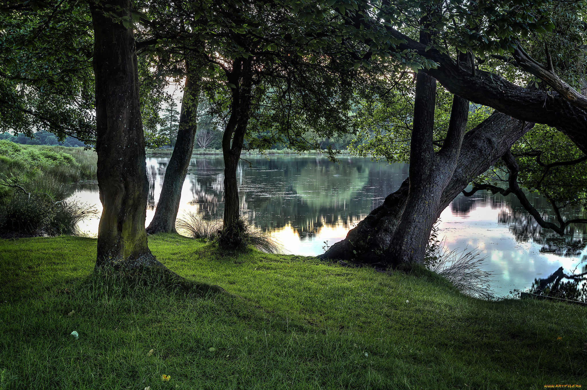 природа, реки, озера, простор