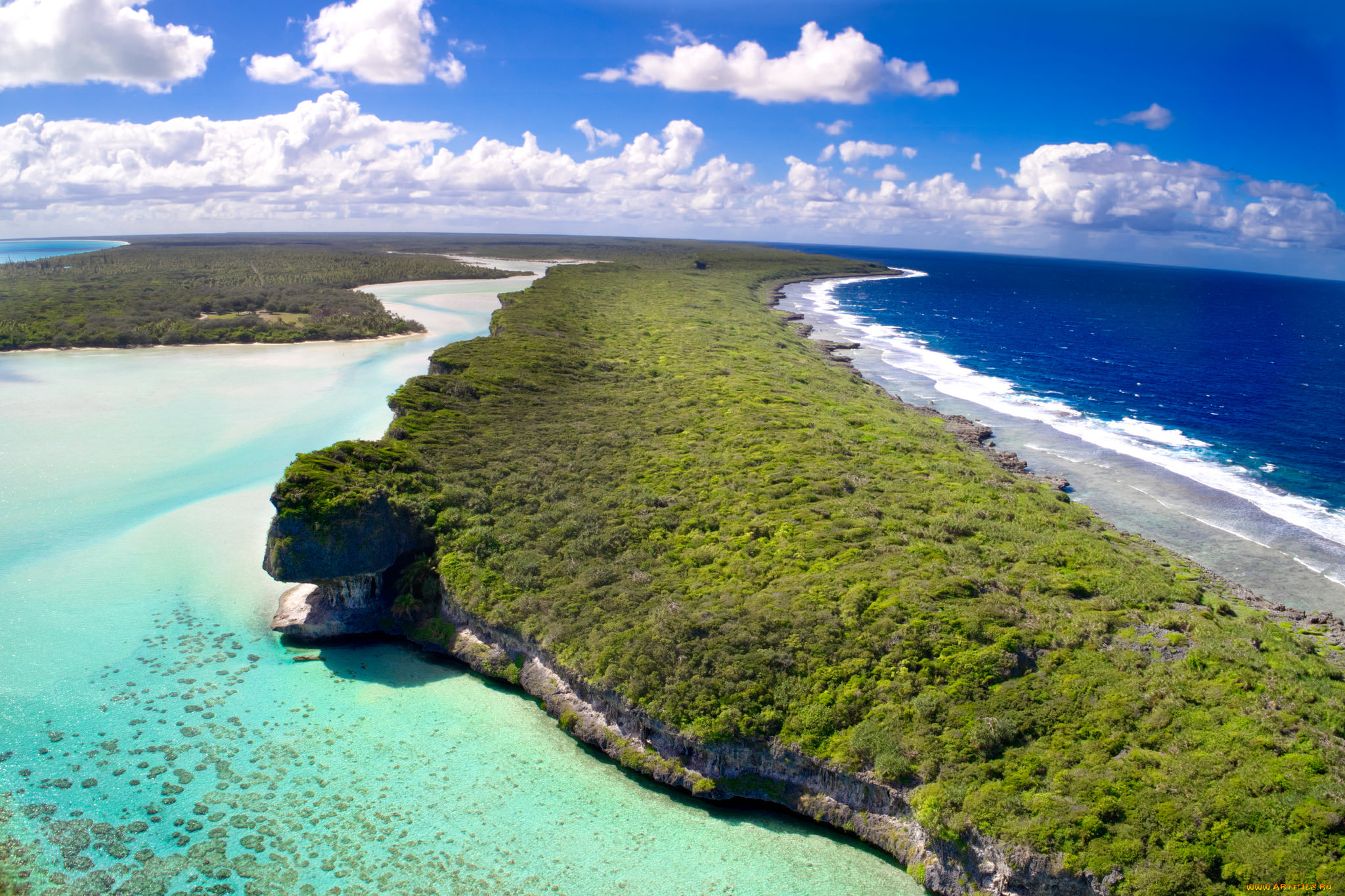 природа, моря, океаны, море, пляж, деревья, вода, побережье