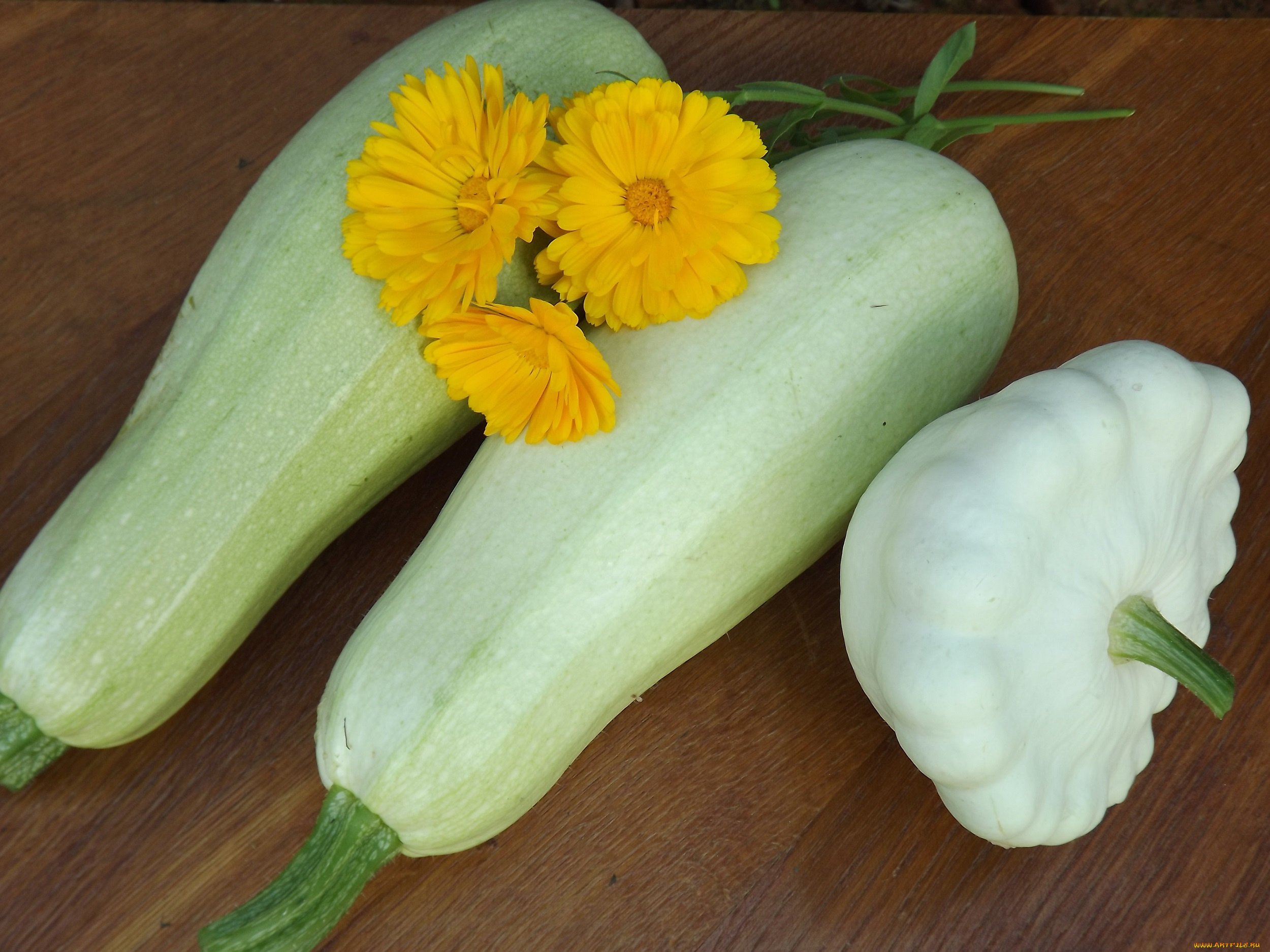 еда, овощи, урожай, патиссон, календула, кабачки