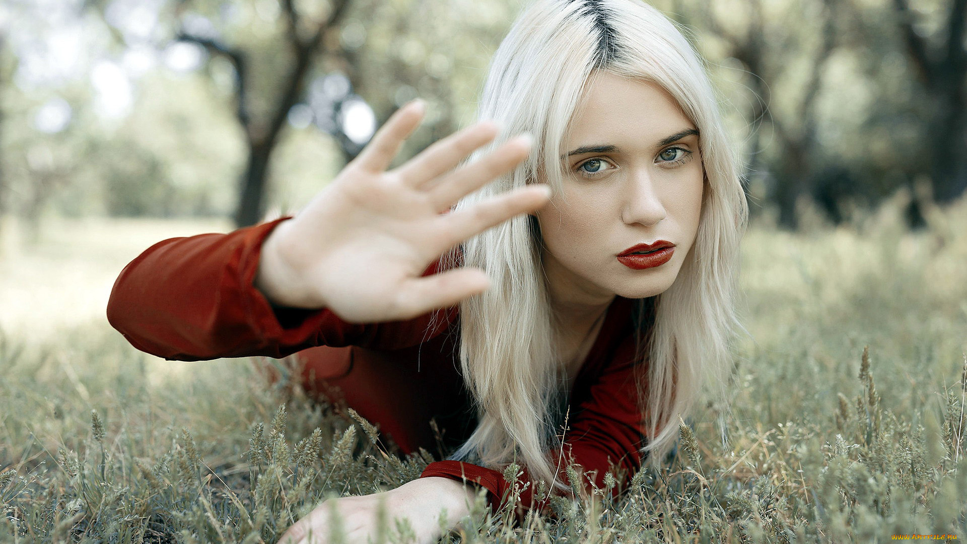 девушки, -, блондинки, , светловолосые, жест