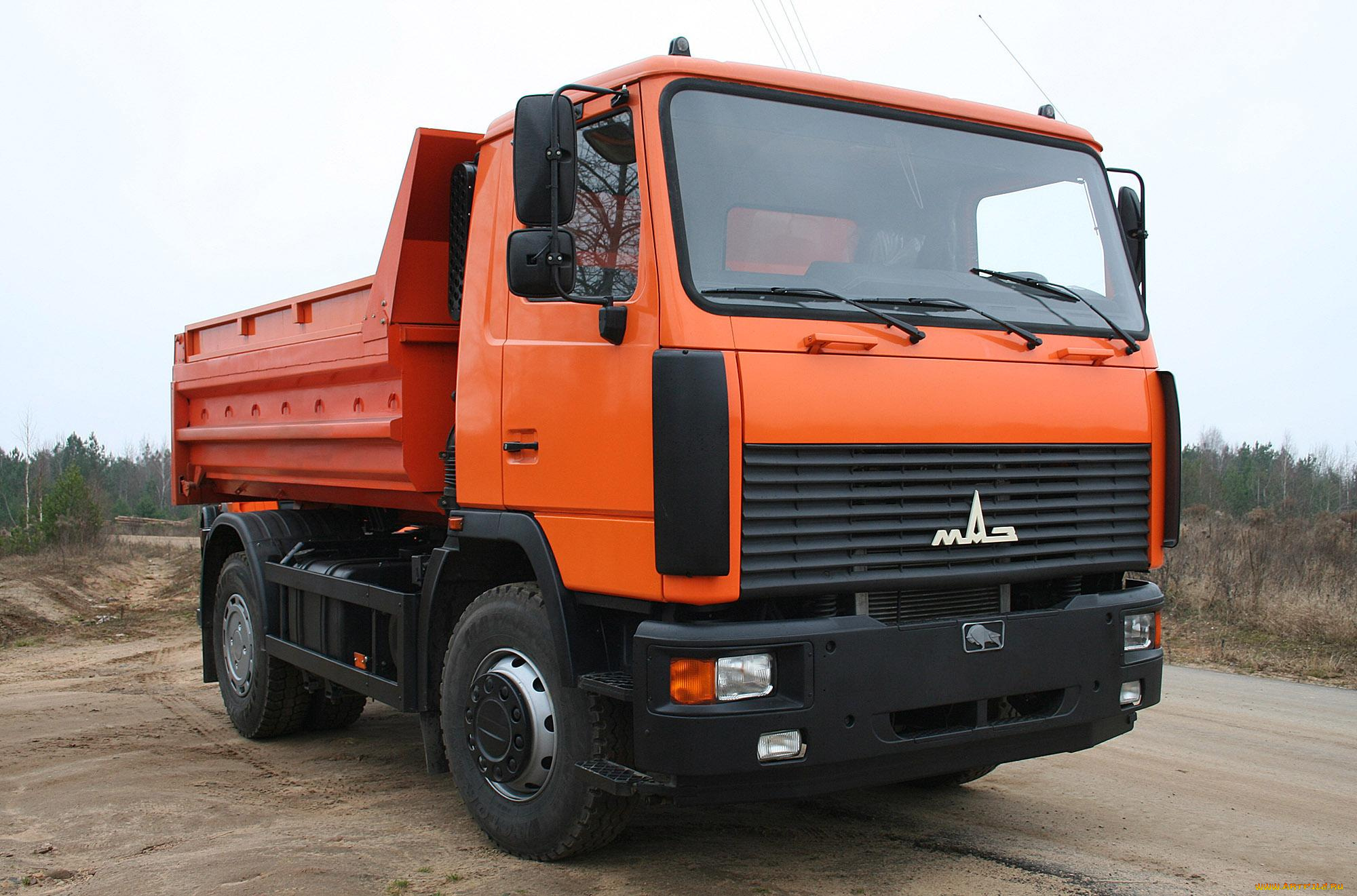 маз, 2017, автомобили, маз, грузовик, самосвал