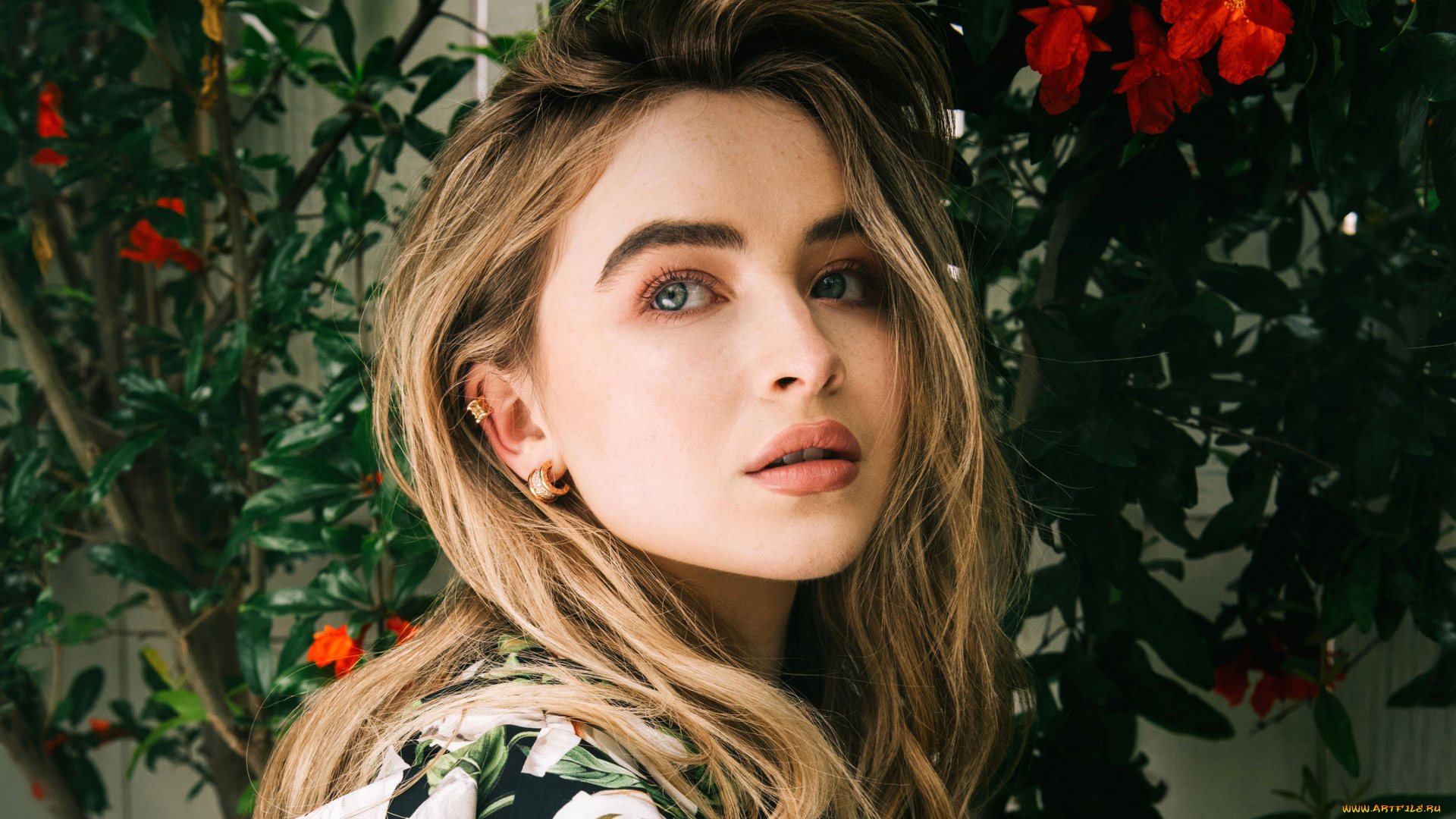 девушки, sabrina, carpenter, блондинка, лицо, куртка, цветы