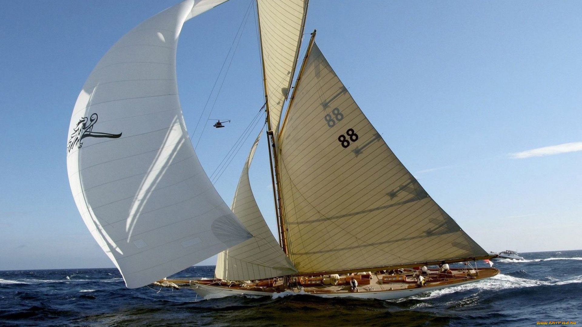 корабли, яхты, парусник, яхта, море, паруса