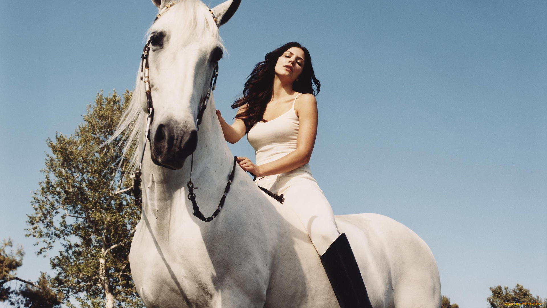 музыка, katharine, mcphee, брюнетка, сапоги, лошадь