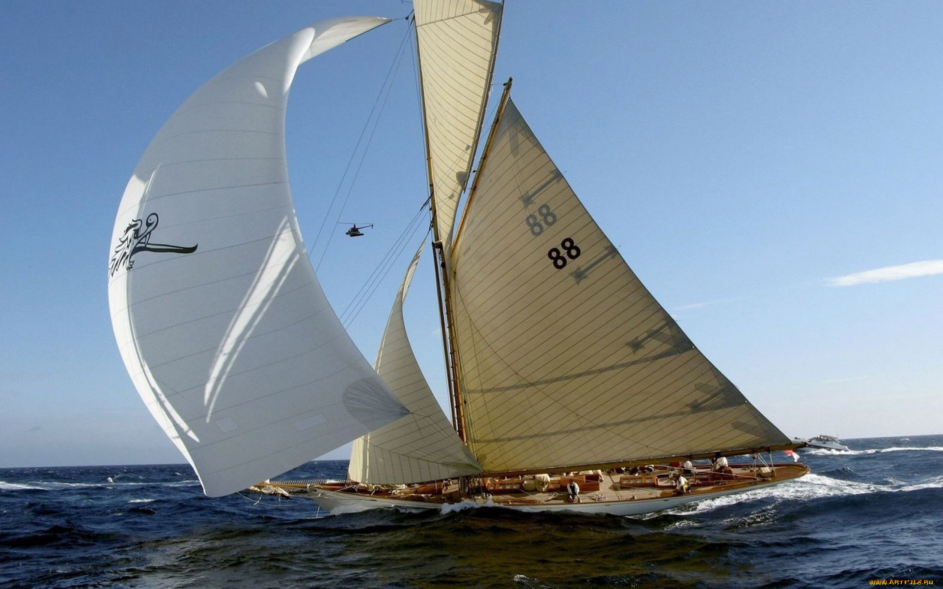 корабли, яхты, парусник, яхта, море, паруса