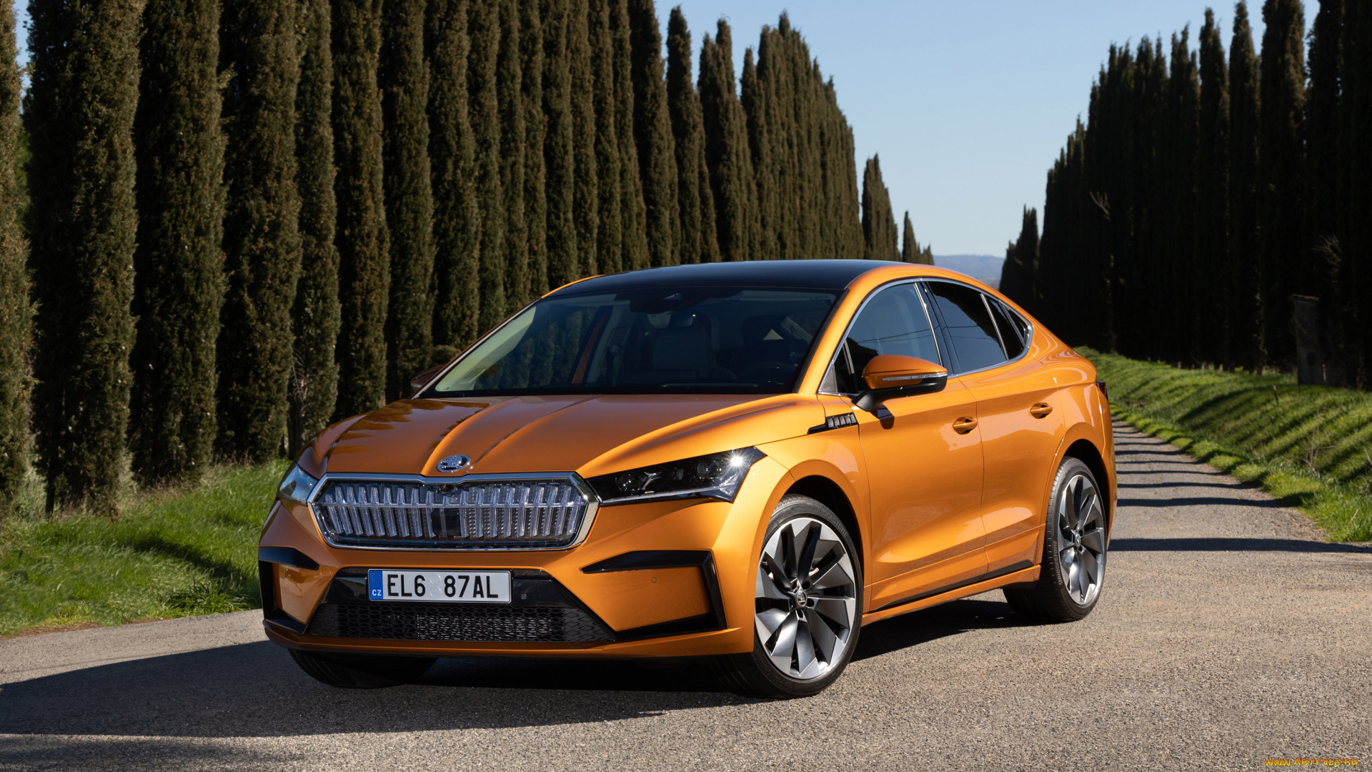 автомобили, skoda