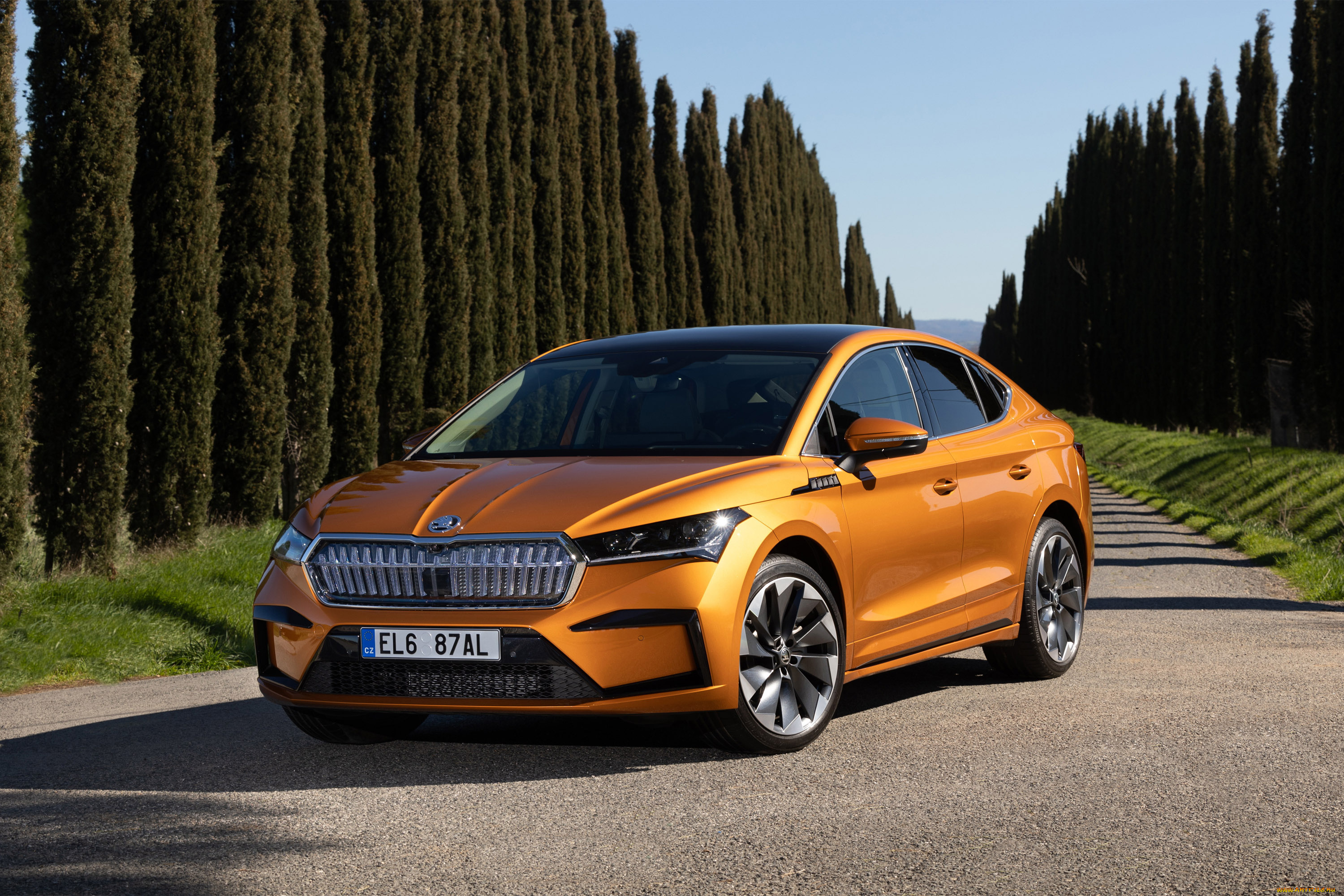 автомобили, skoda