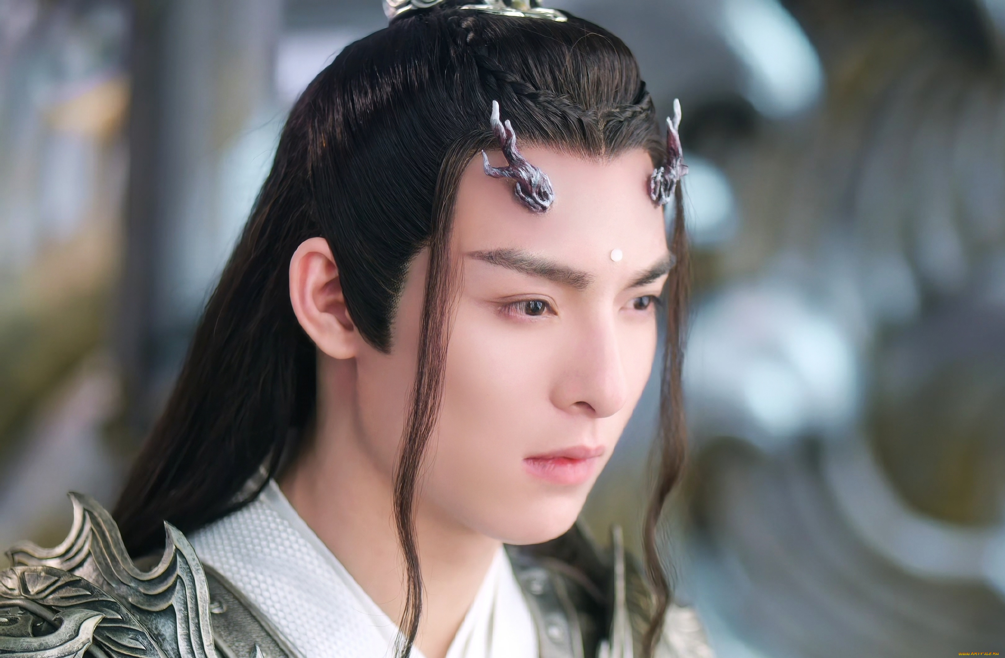 кино, фильмы, immortal, samsara, ван, хао, сюань, вечная, самсара, щепки, агарового, дерева