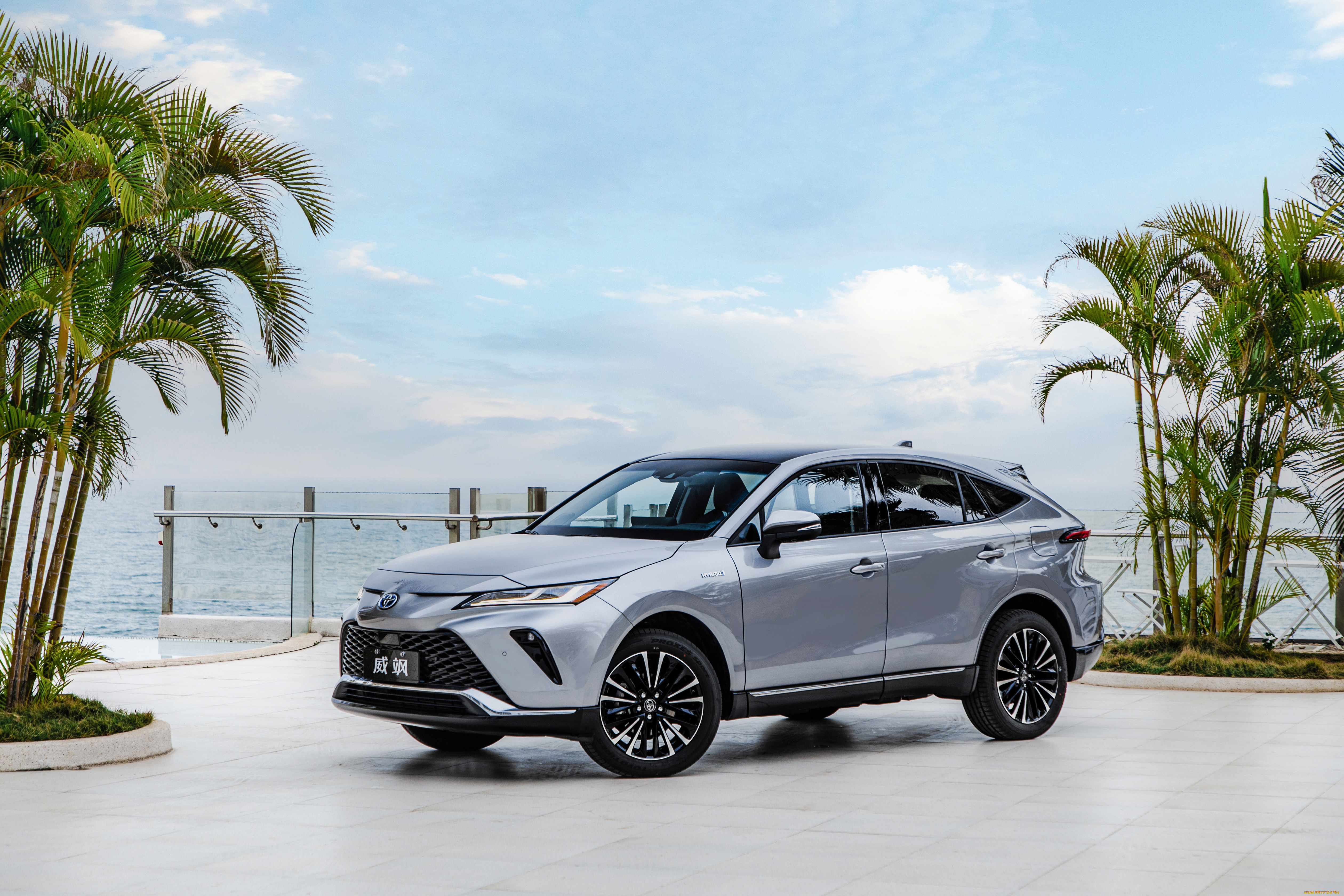 автомобили, toyota