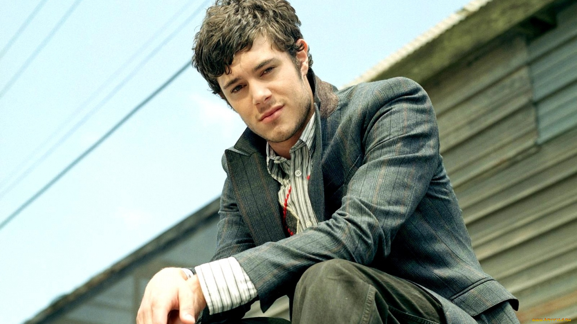 мужчины, adam, brody, актер, пиджак