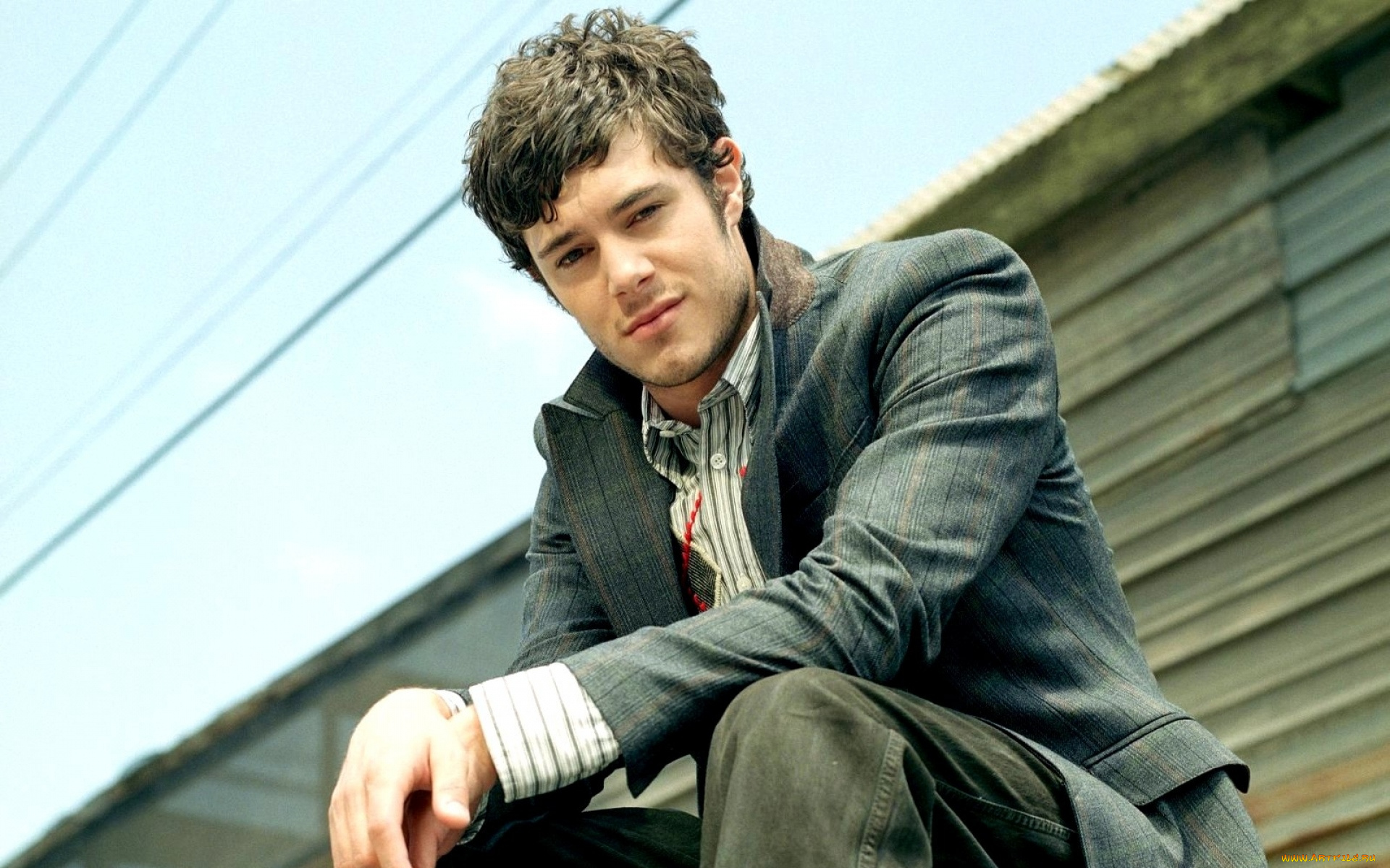 мужчины, adam, brody, актер, пиджак